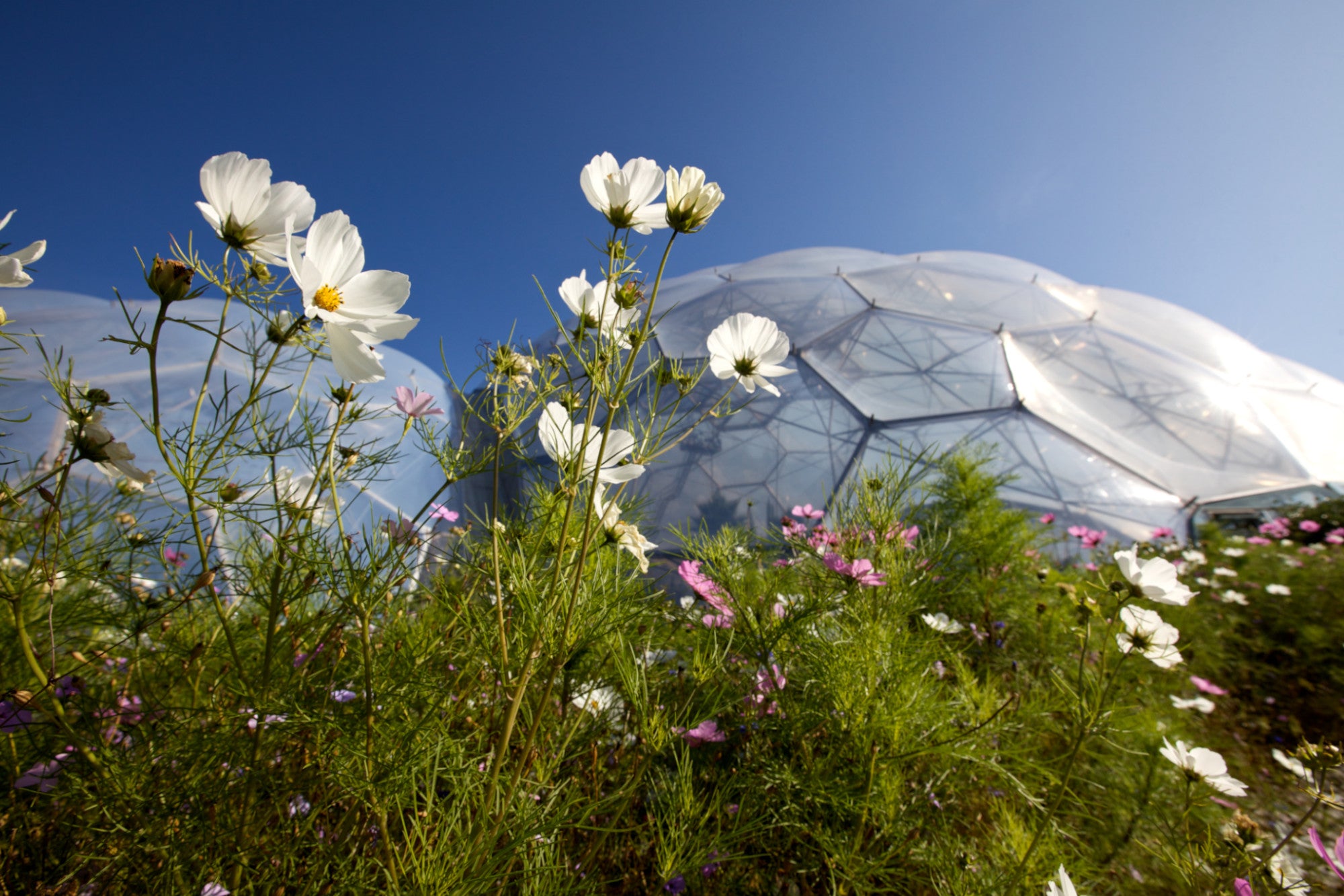 A beginner’s guide to living more sustainably