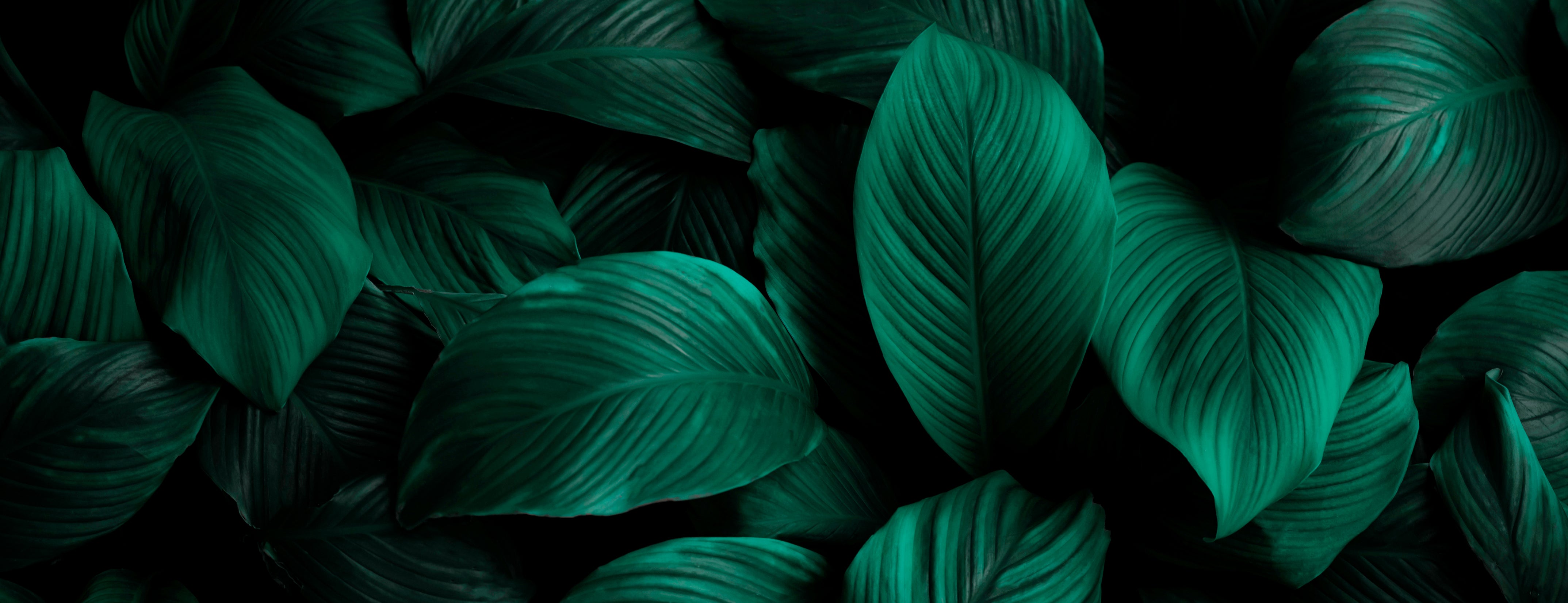 Sustainable Gift Sets