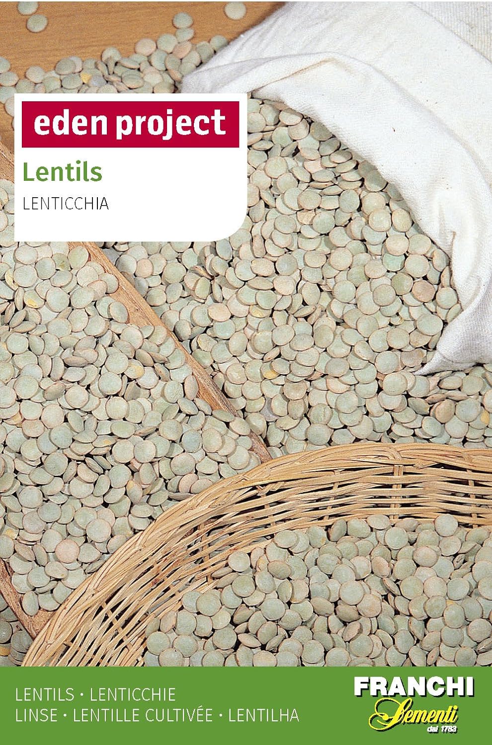 Lentil seeds
