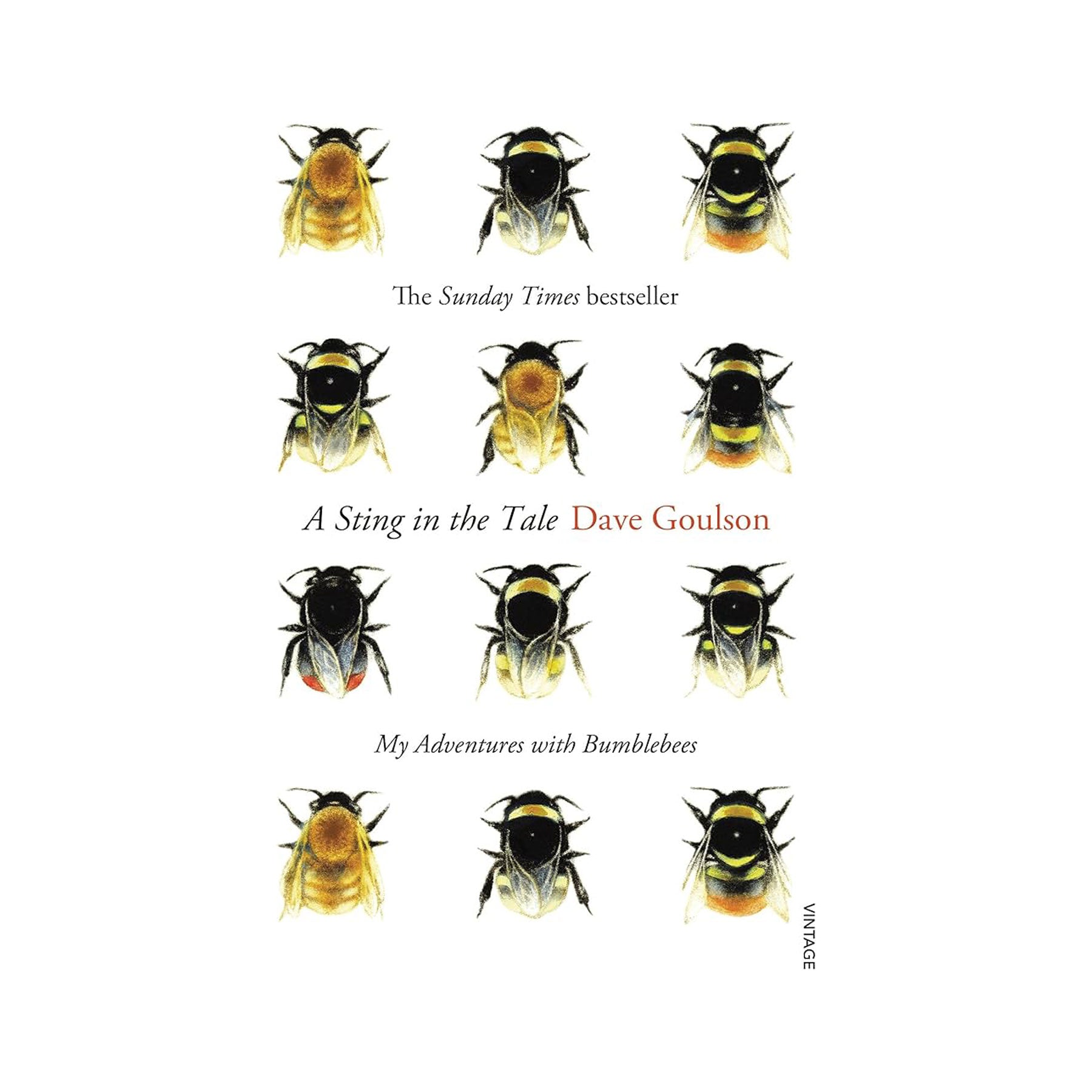 A Sting in the Tale, My Adventures with Bumblebees