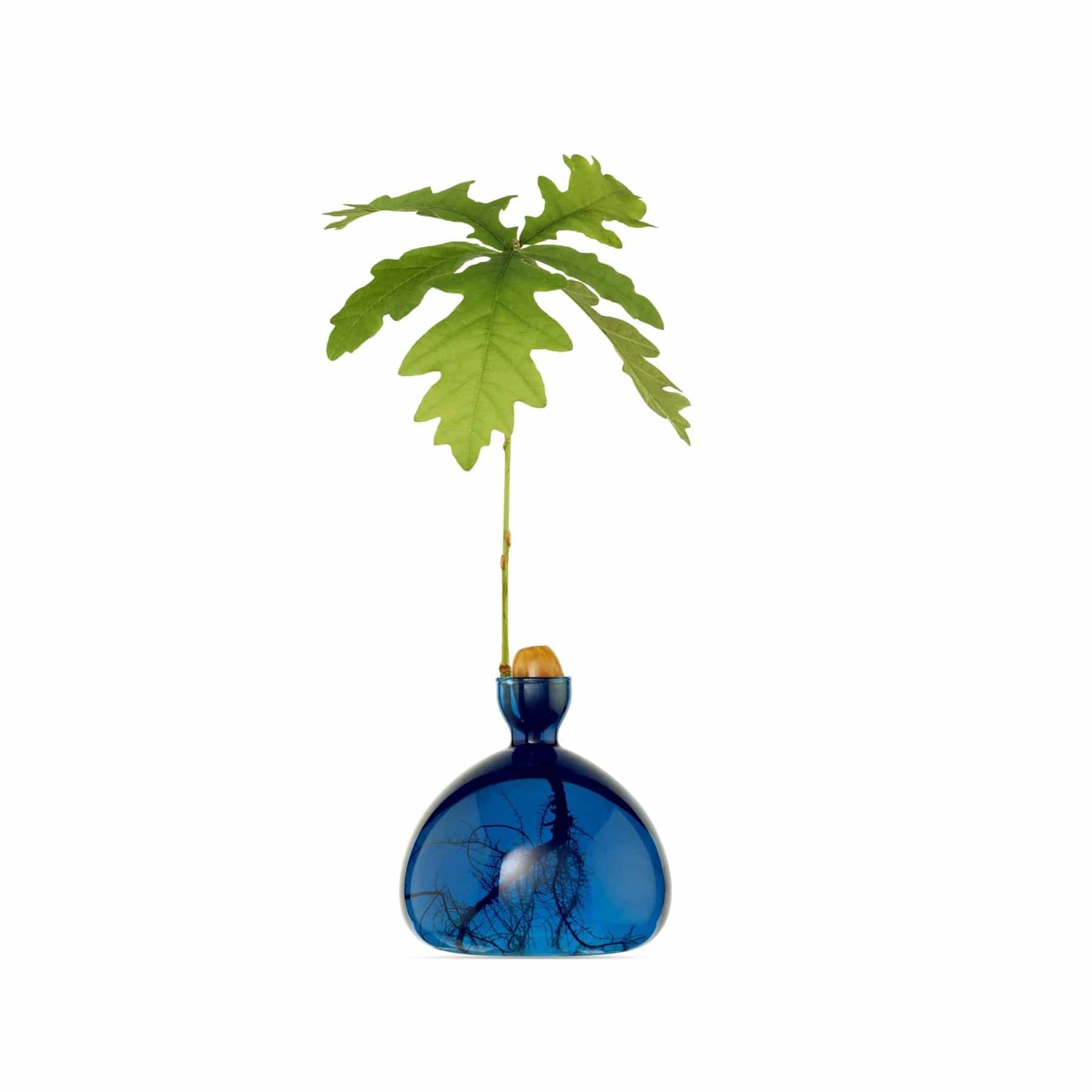 Acorn vase lapis blue
