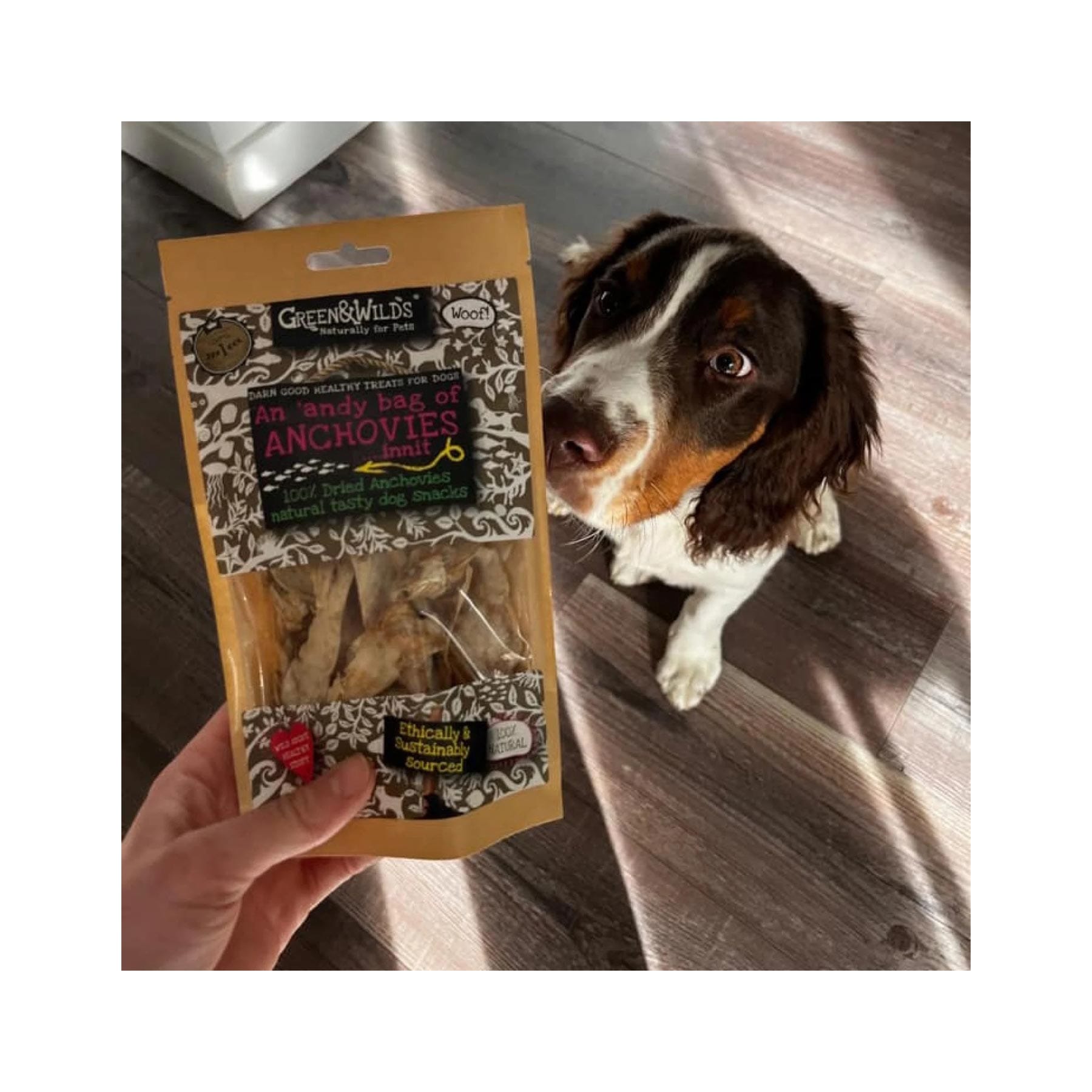 Andy bag of anchovies 50g