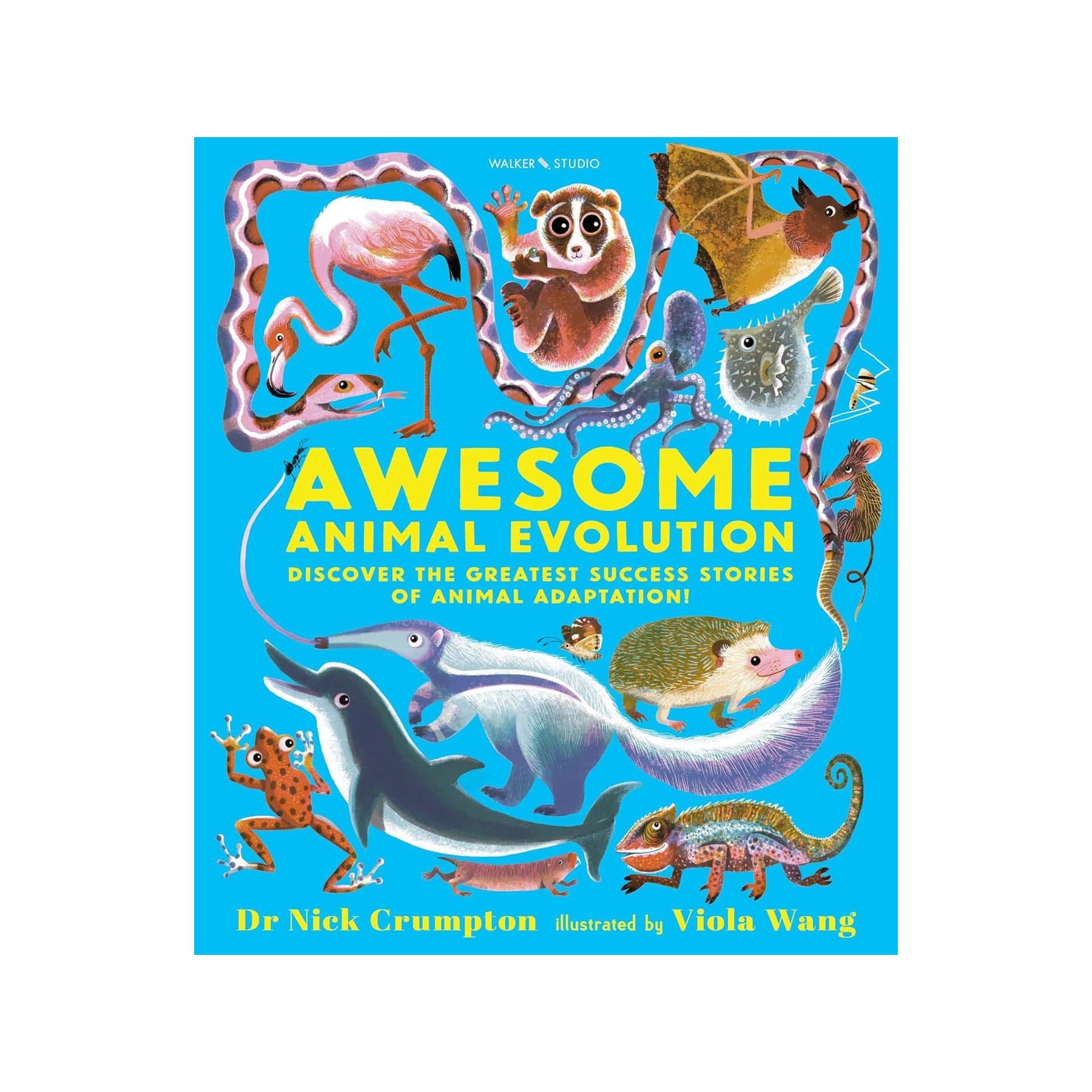Awesome animal evolution