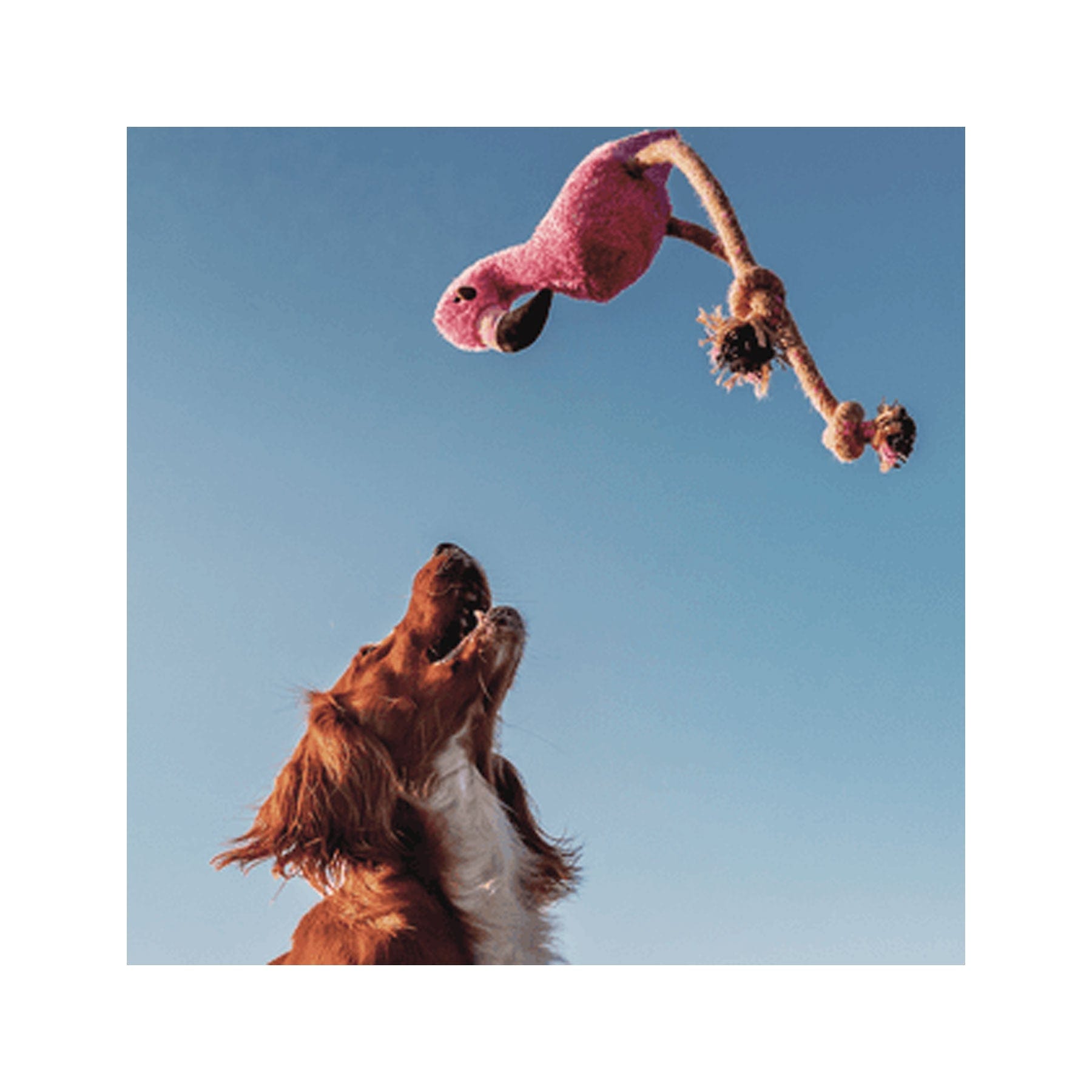 Plush Flamingo Dog Toy