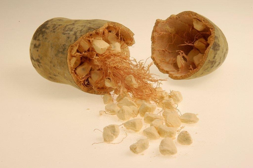 Split butternut squash with seeds and fibrous strands on a light background, surrounded by a pile of dried squash pieces.