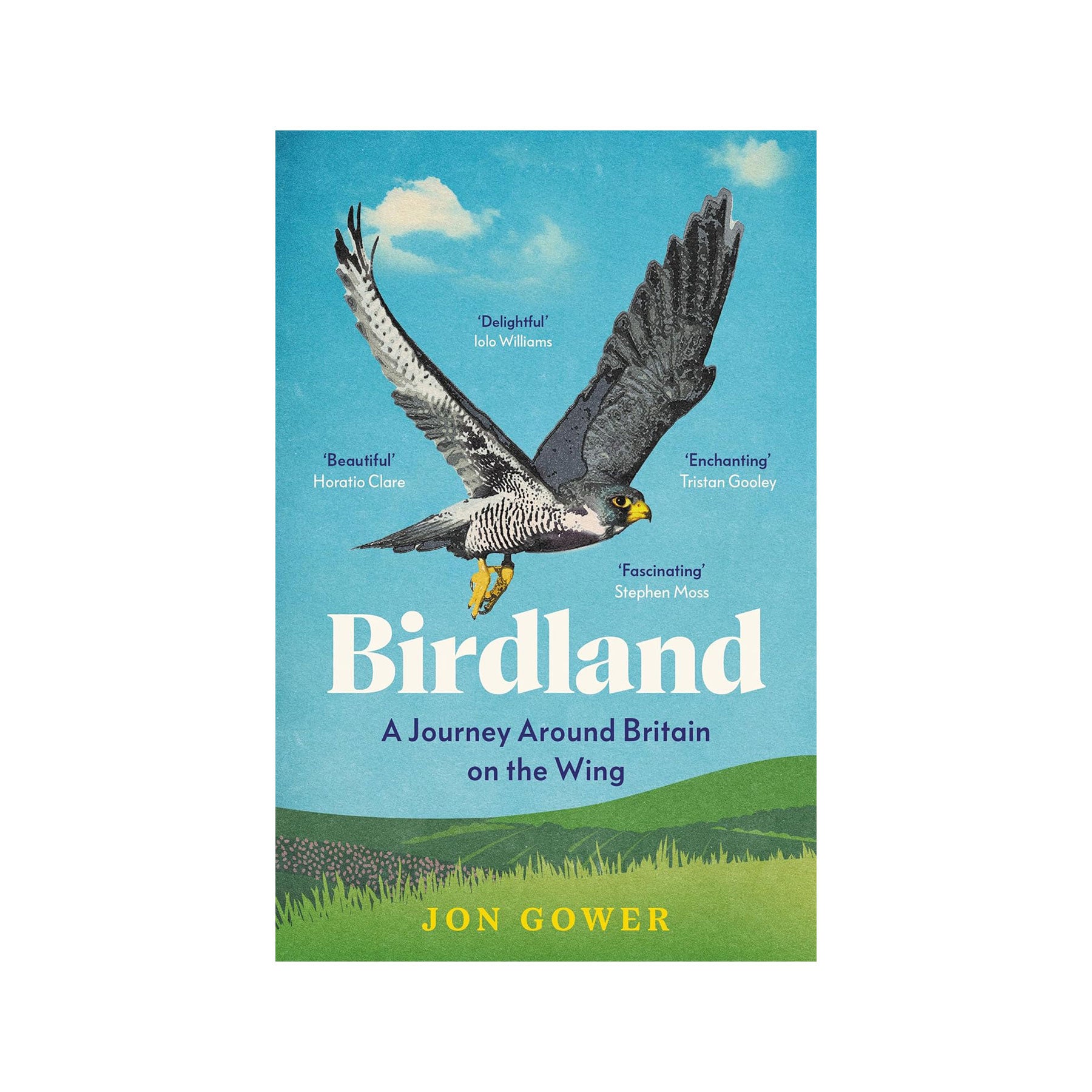 Birdland: a journey around Britain on the wing