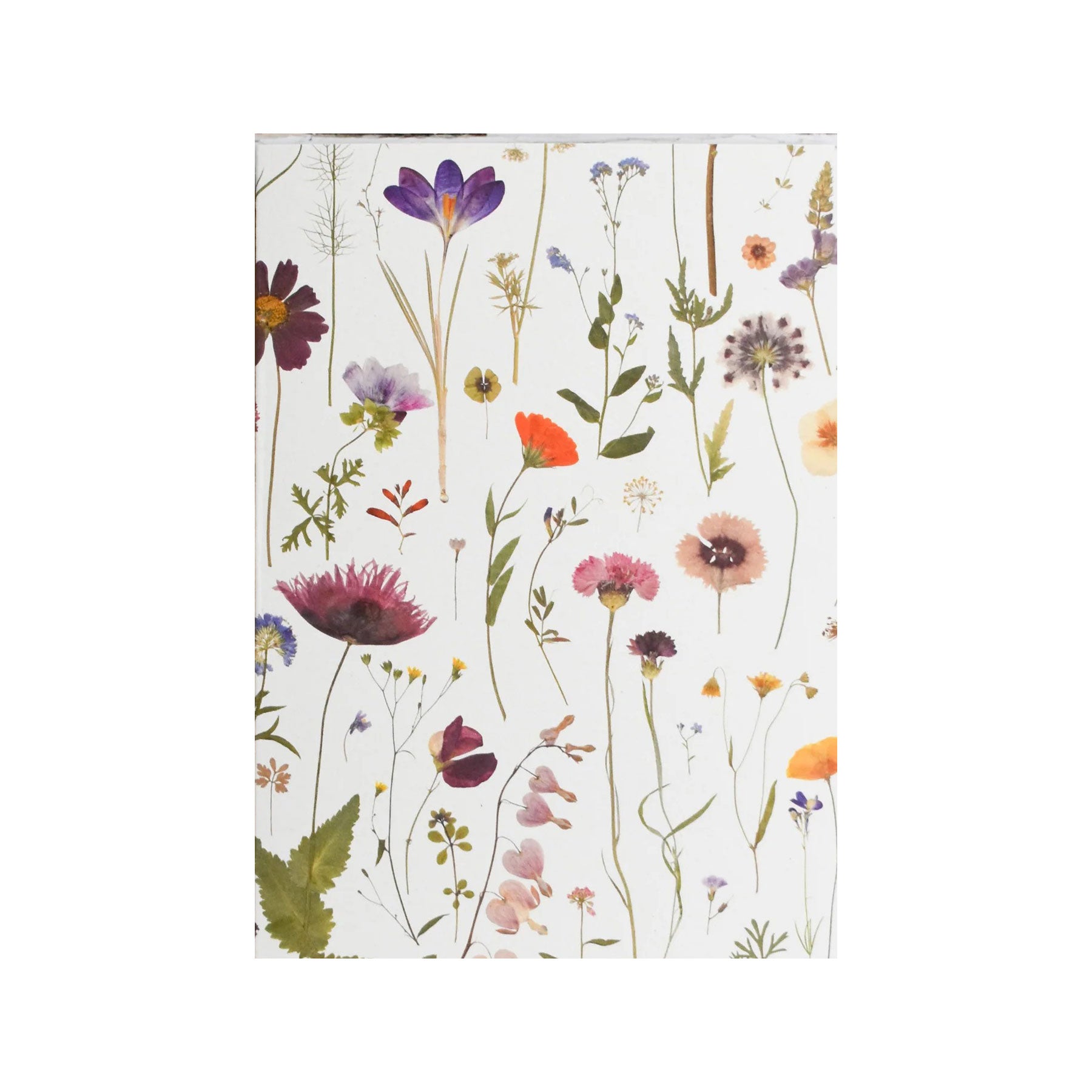 Bloom greetings card