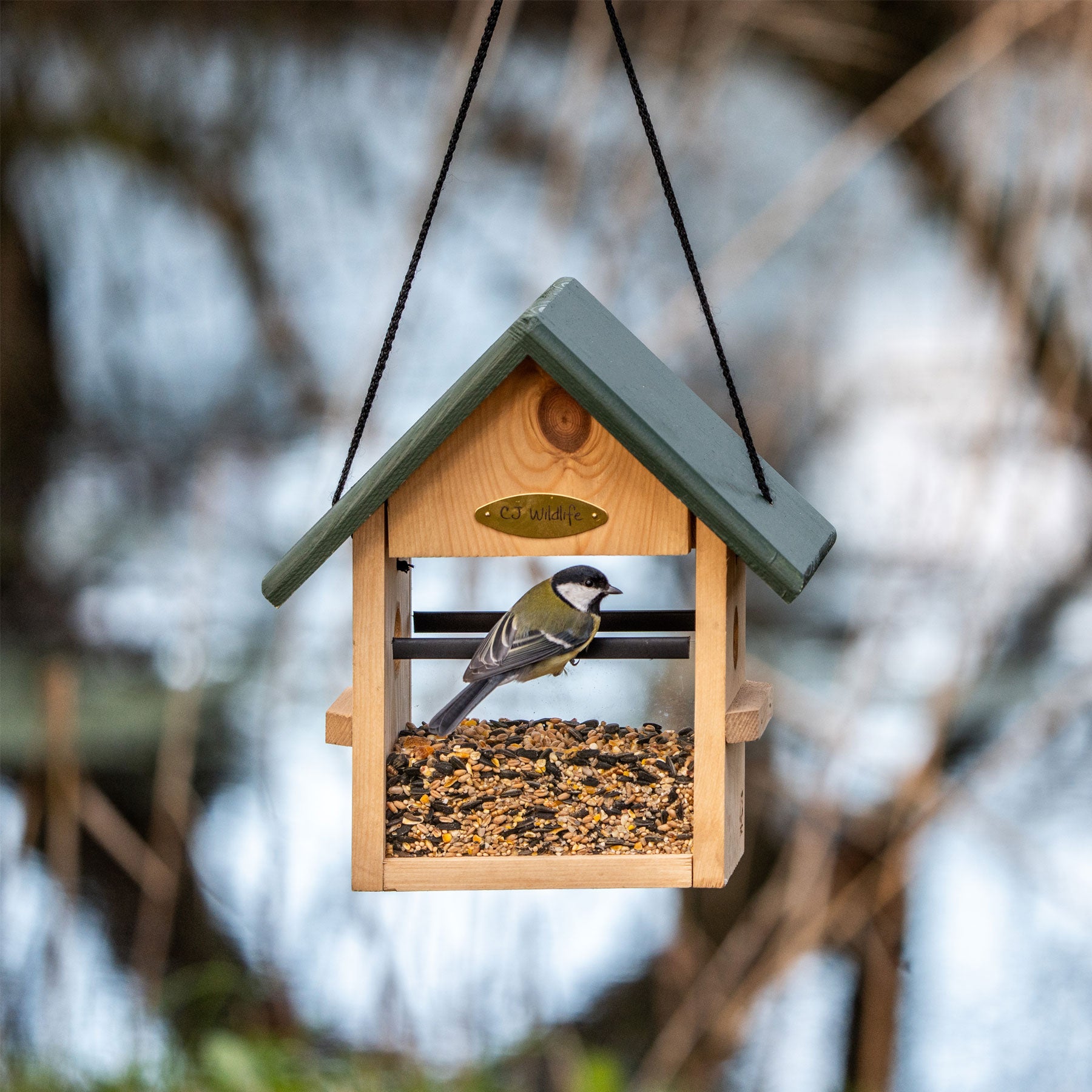 Breda hanging bird seed feeder