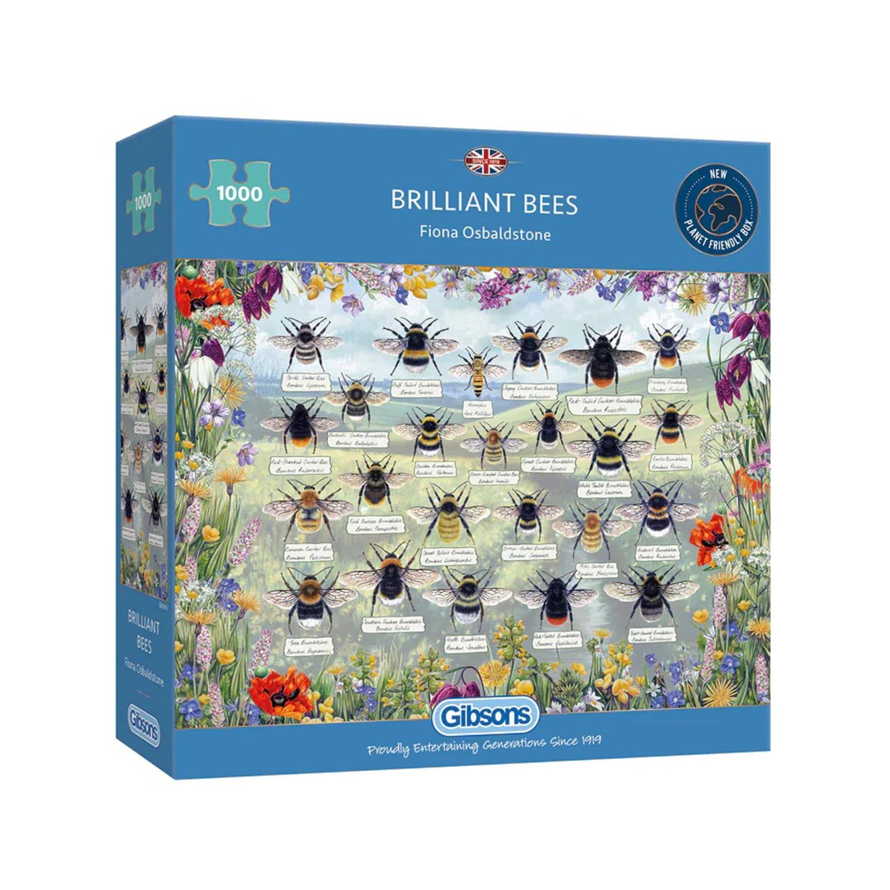 Mudpuppy Puzzle ‚A Is For Bee‘ – 1000 Teile, 68,5x51 Cm – Familienpuzzle Mit Alphabet-Illustration