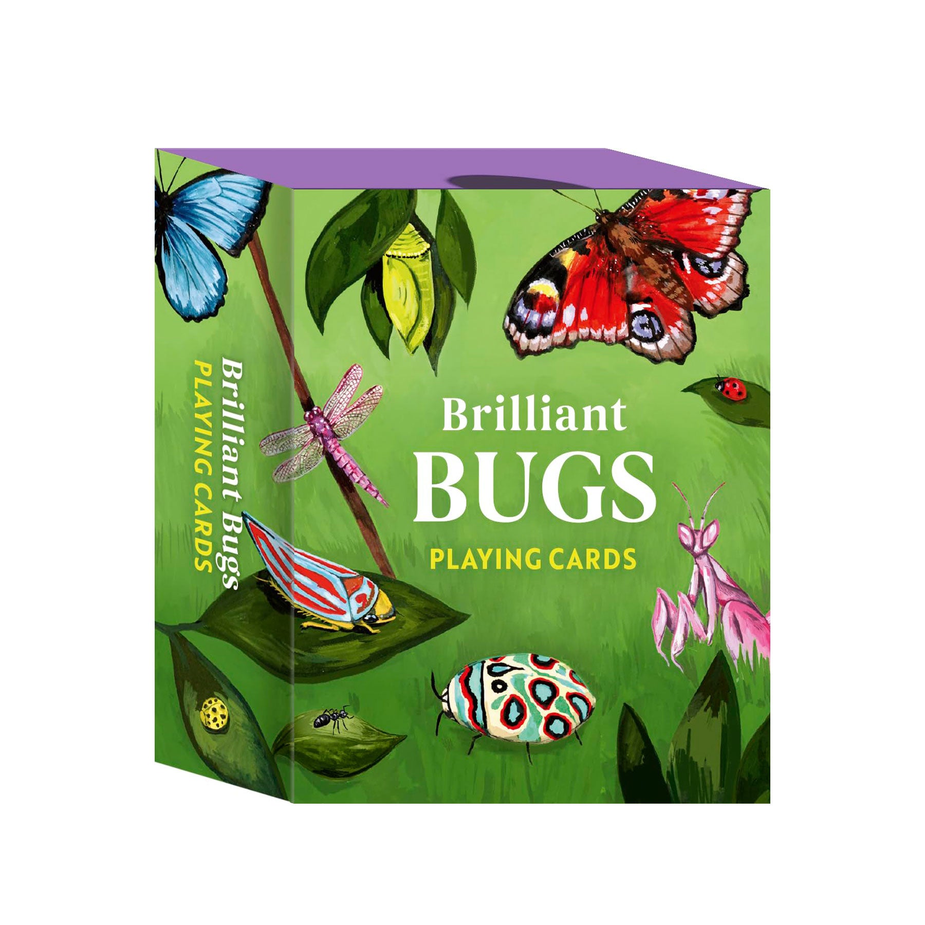 Brilliant bugs playing cards
