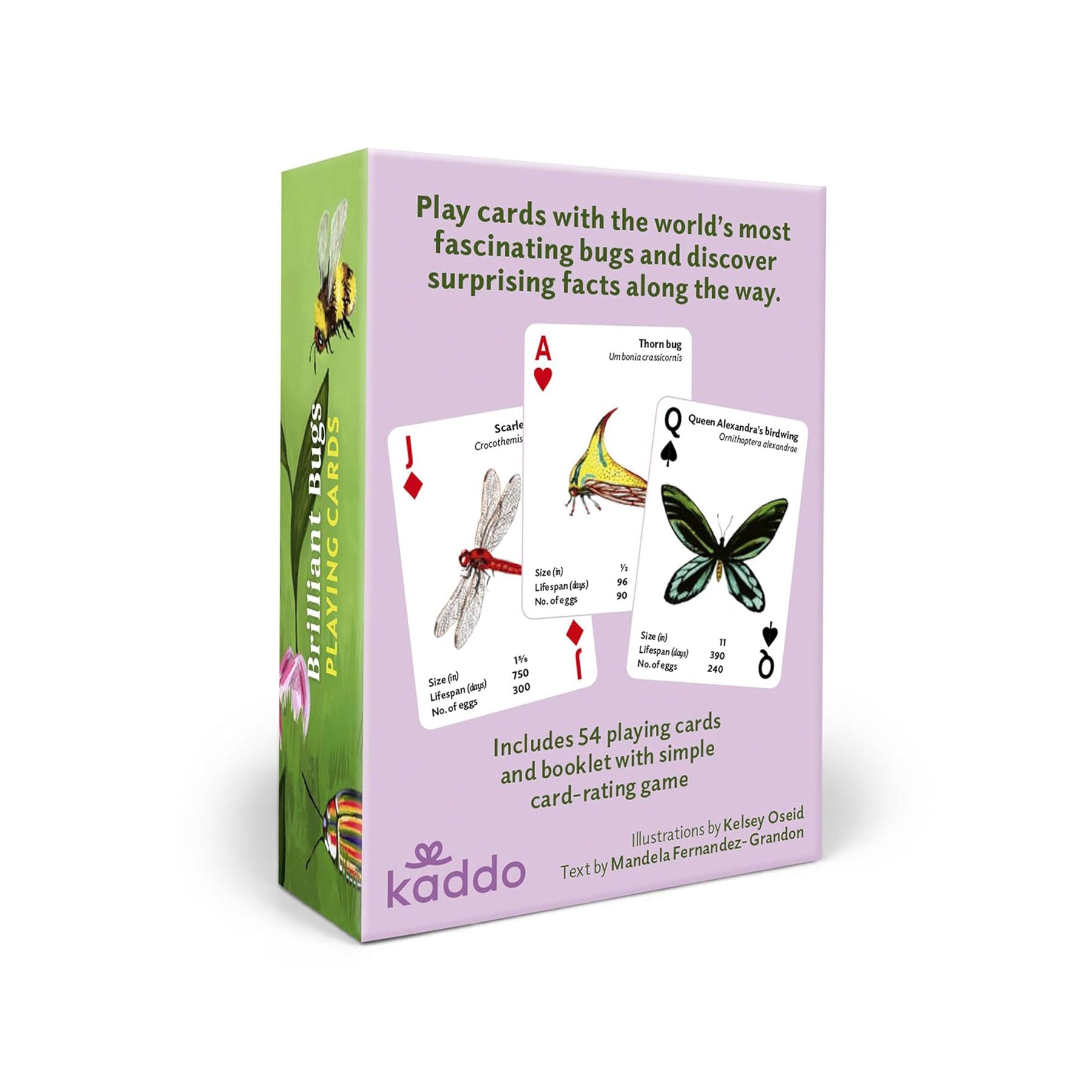 Brilliant bugs playing cards
