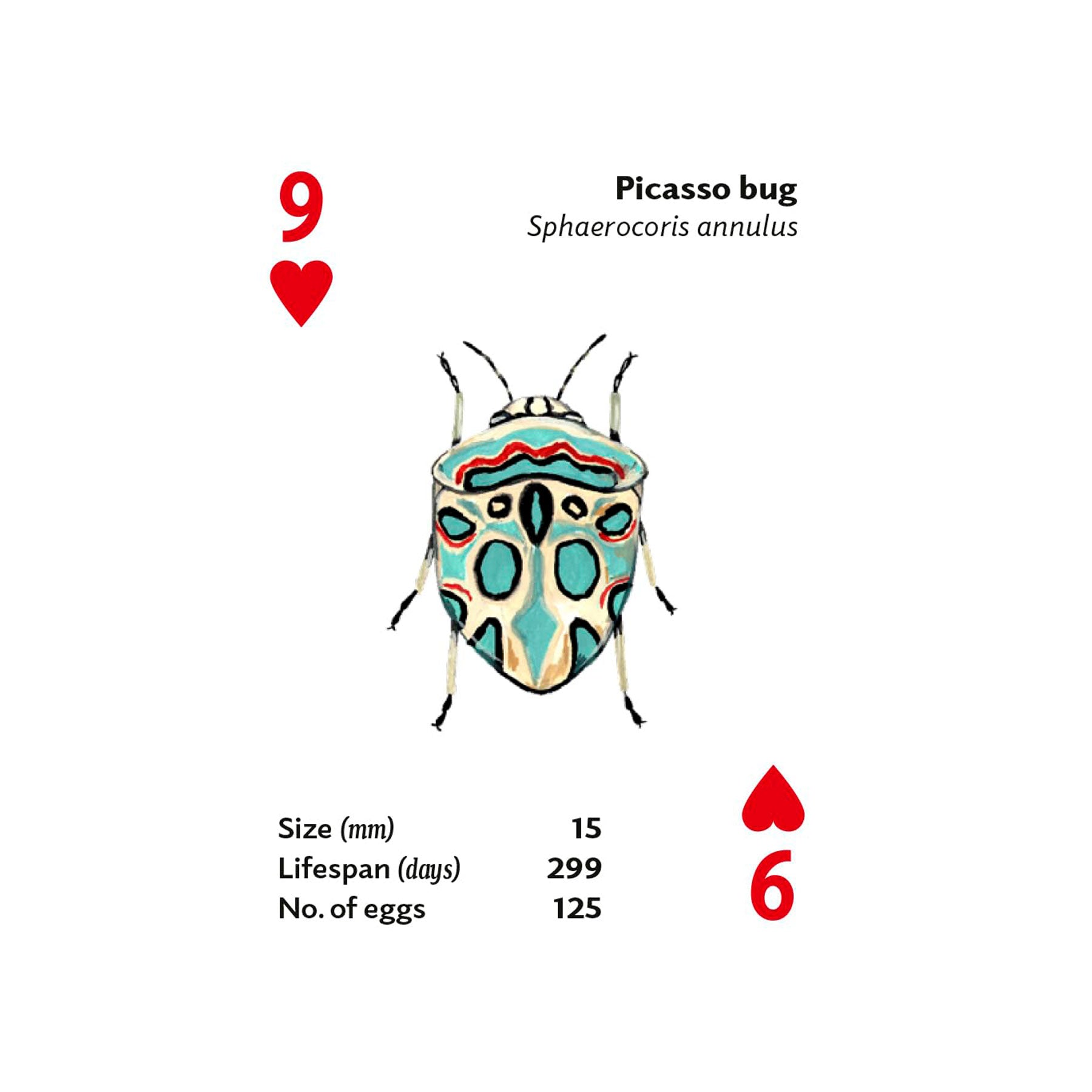Brilliant bugs playing cards