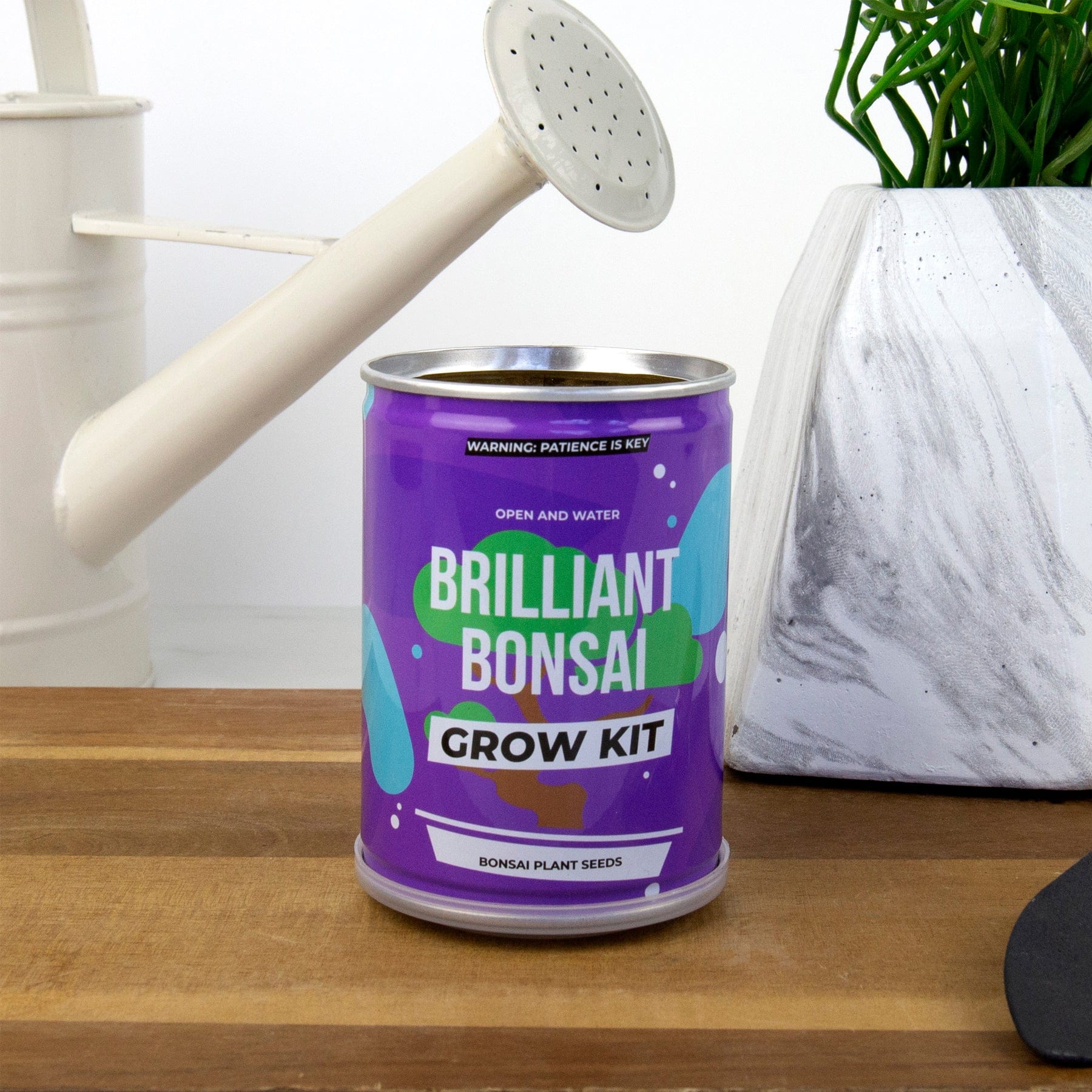 Brilliant bonsai grow tin