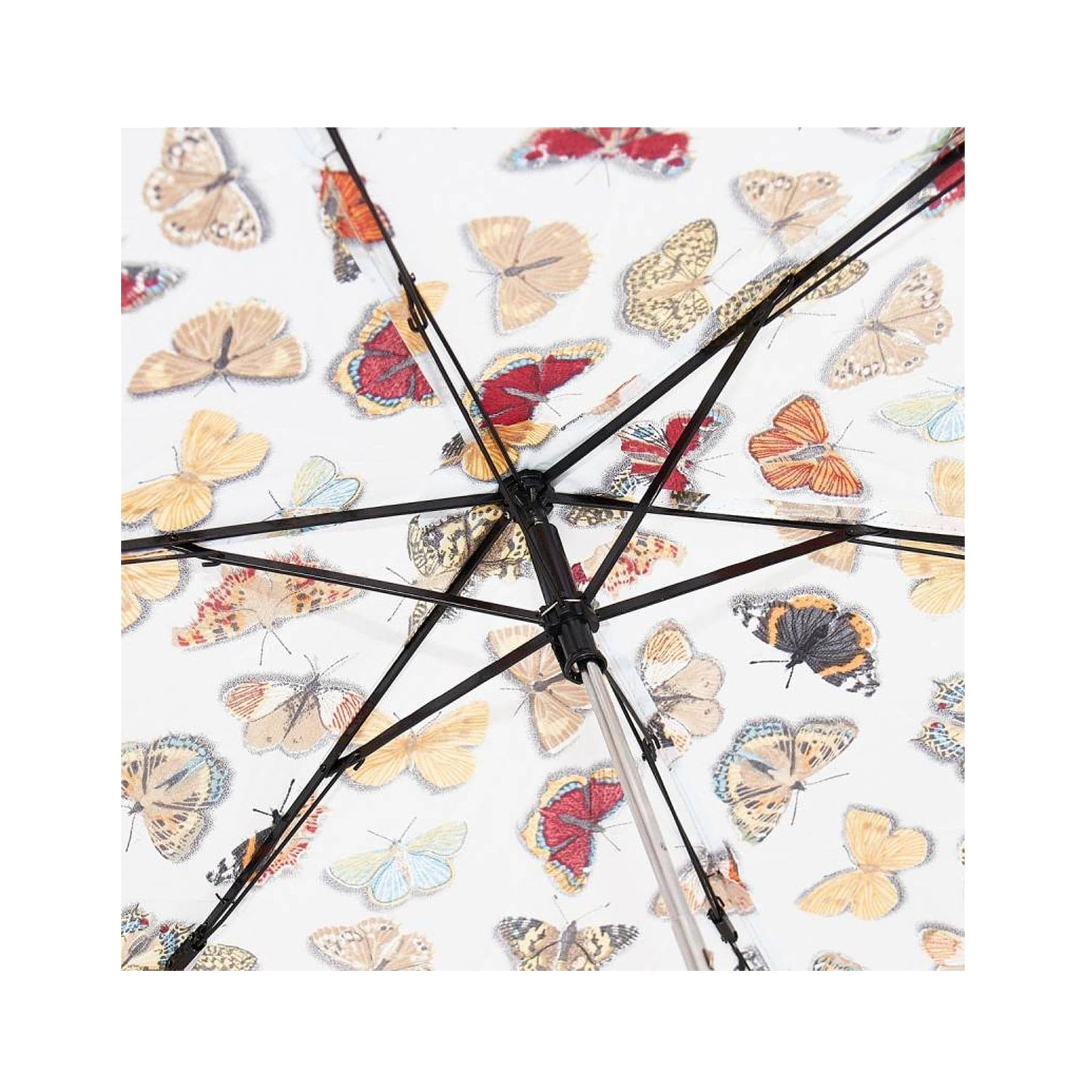 Foldable mini umbrella wild butterflies