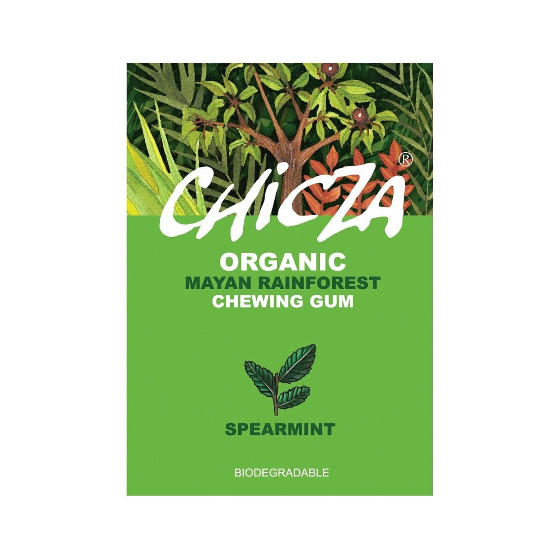 Chicza organic spearmint chewing gum packaging with Mayan rainforest theme and biodegradable claim.