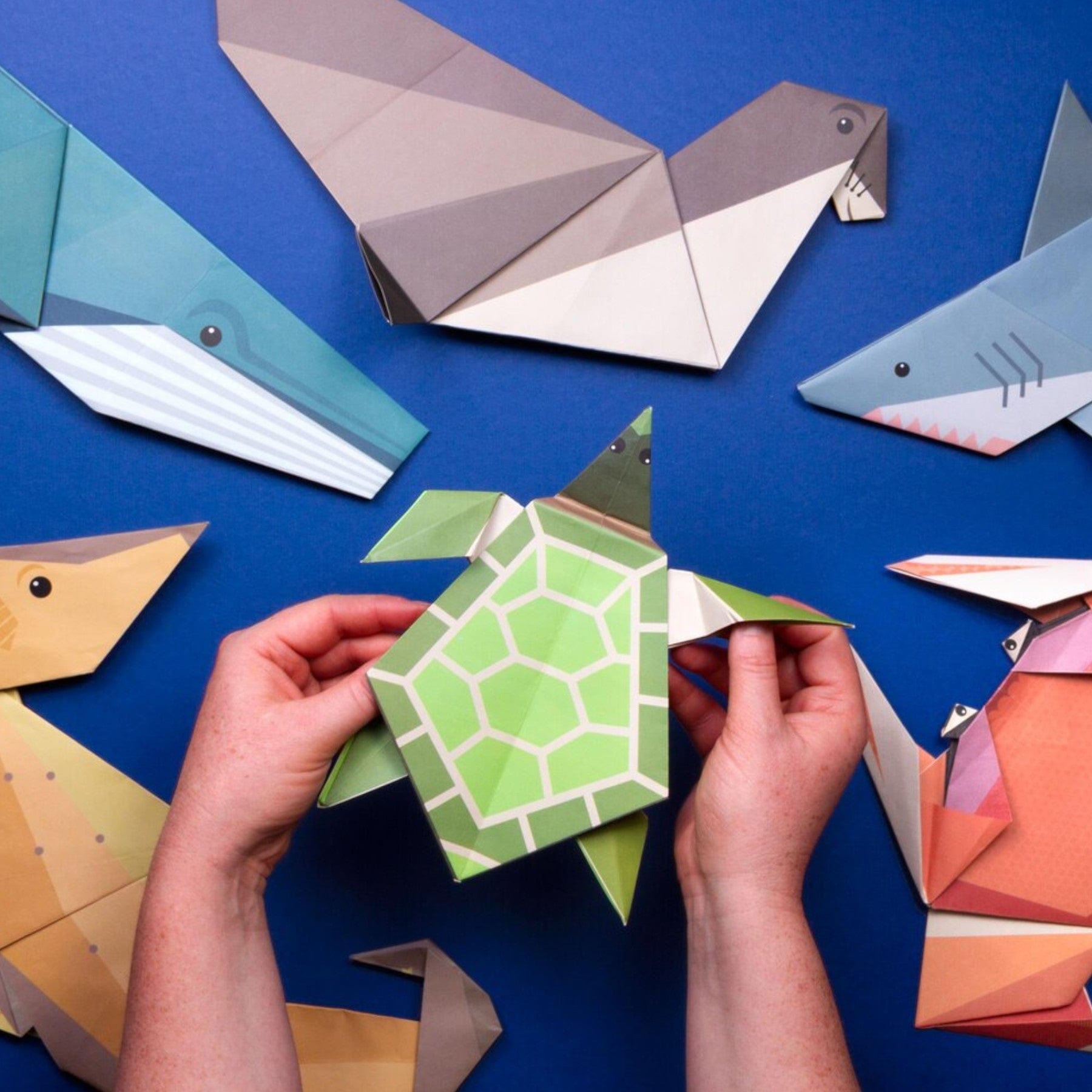 Hands holding a green origami turtle with a collection of colorful paper origami animals on a blue background
