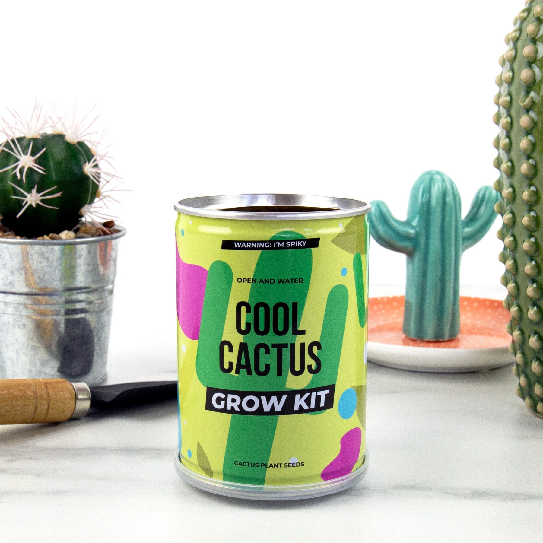 Cool cactus grow tin