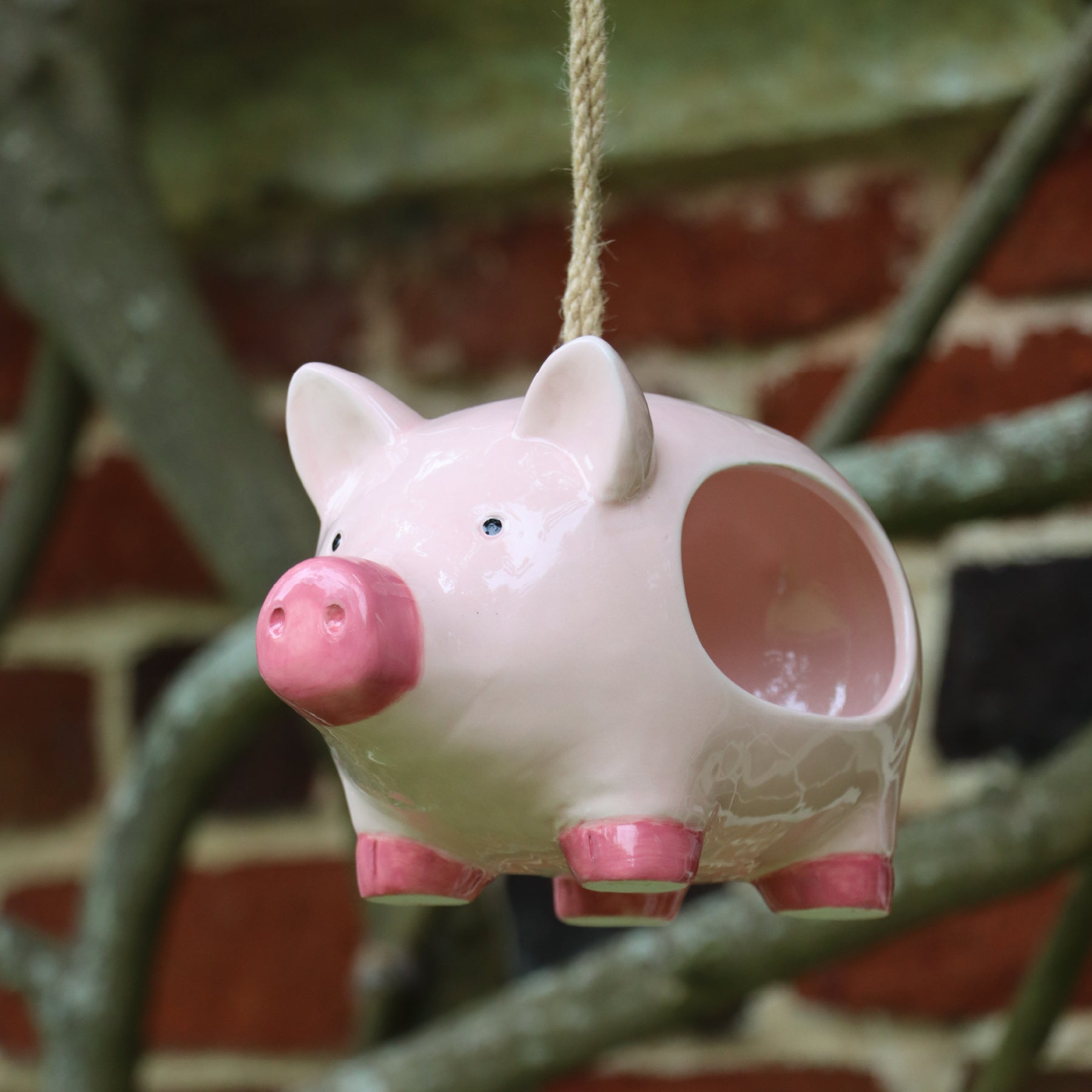 'Curlie' hanging ceramic pig bird feeder