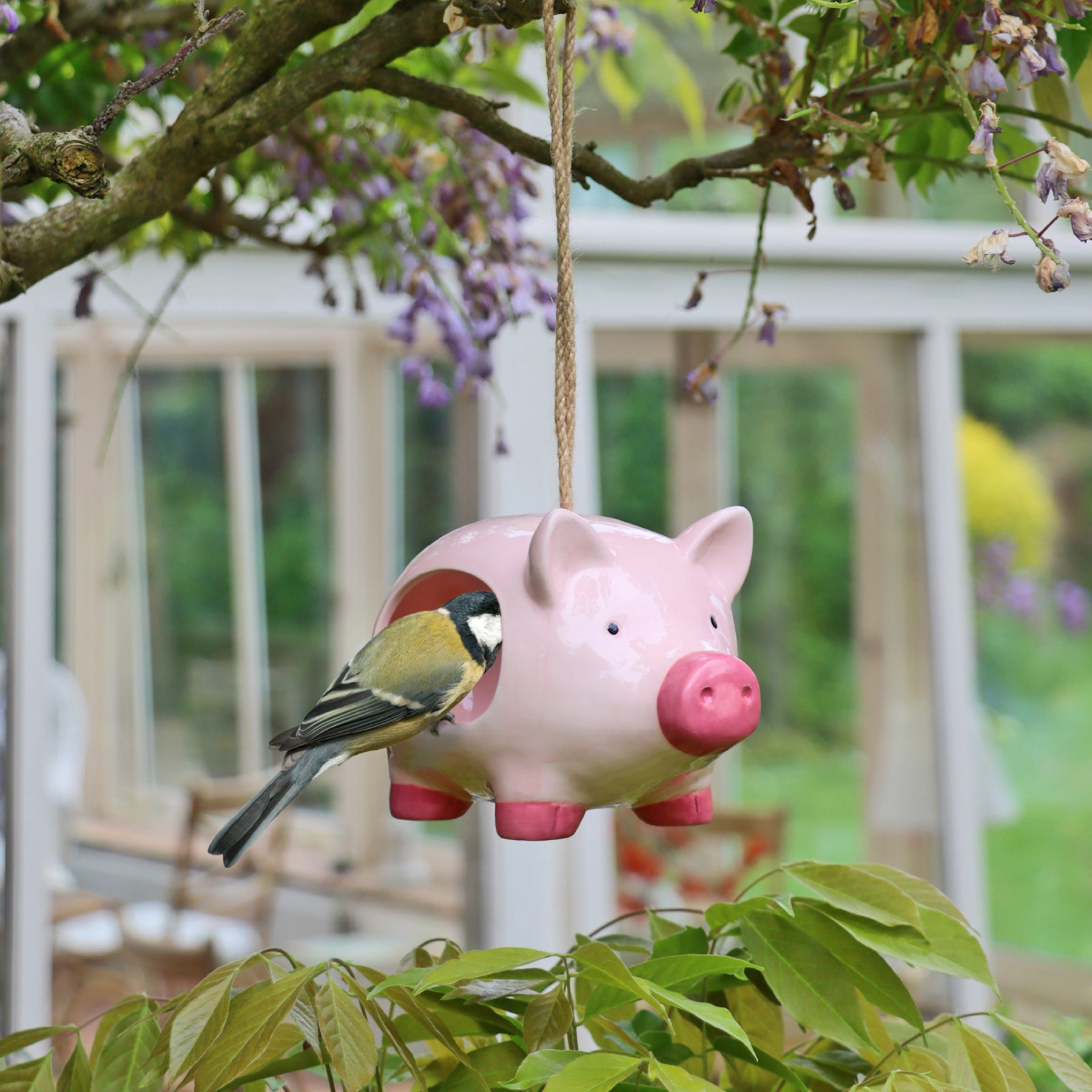 'Curlie' hanging ceramic pig bird feeder
