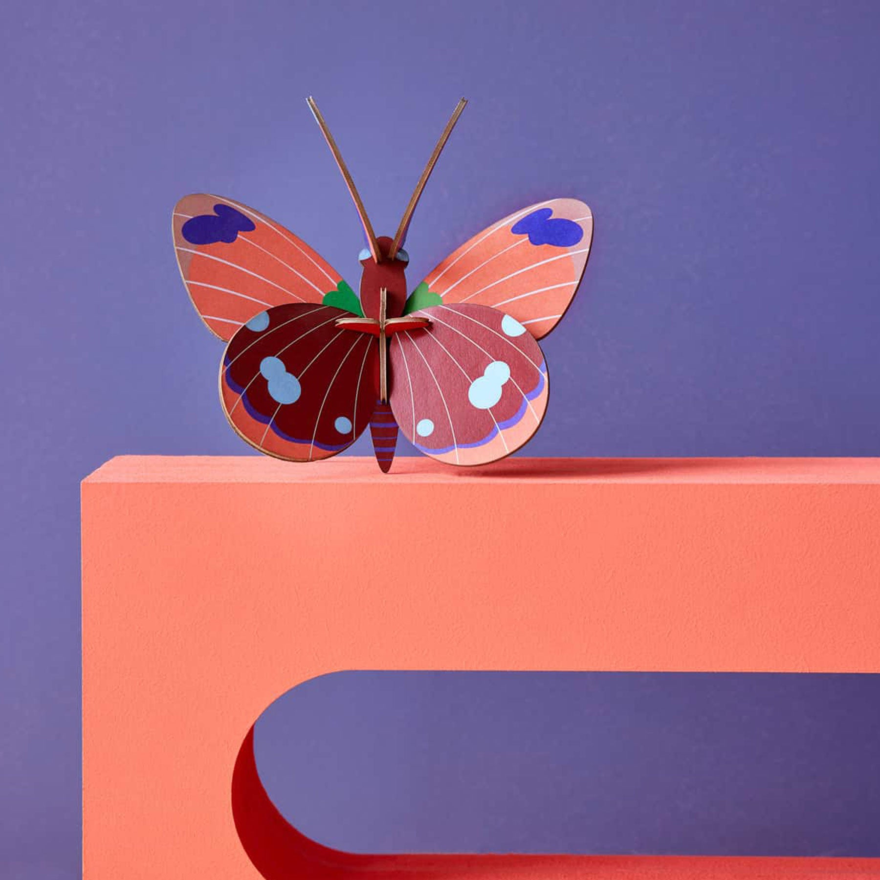 Delias butterfly wall art