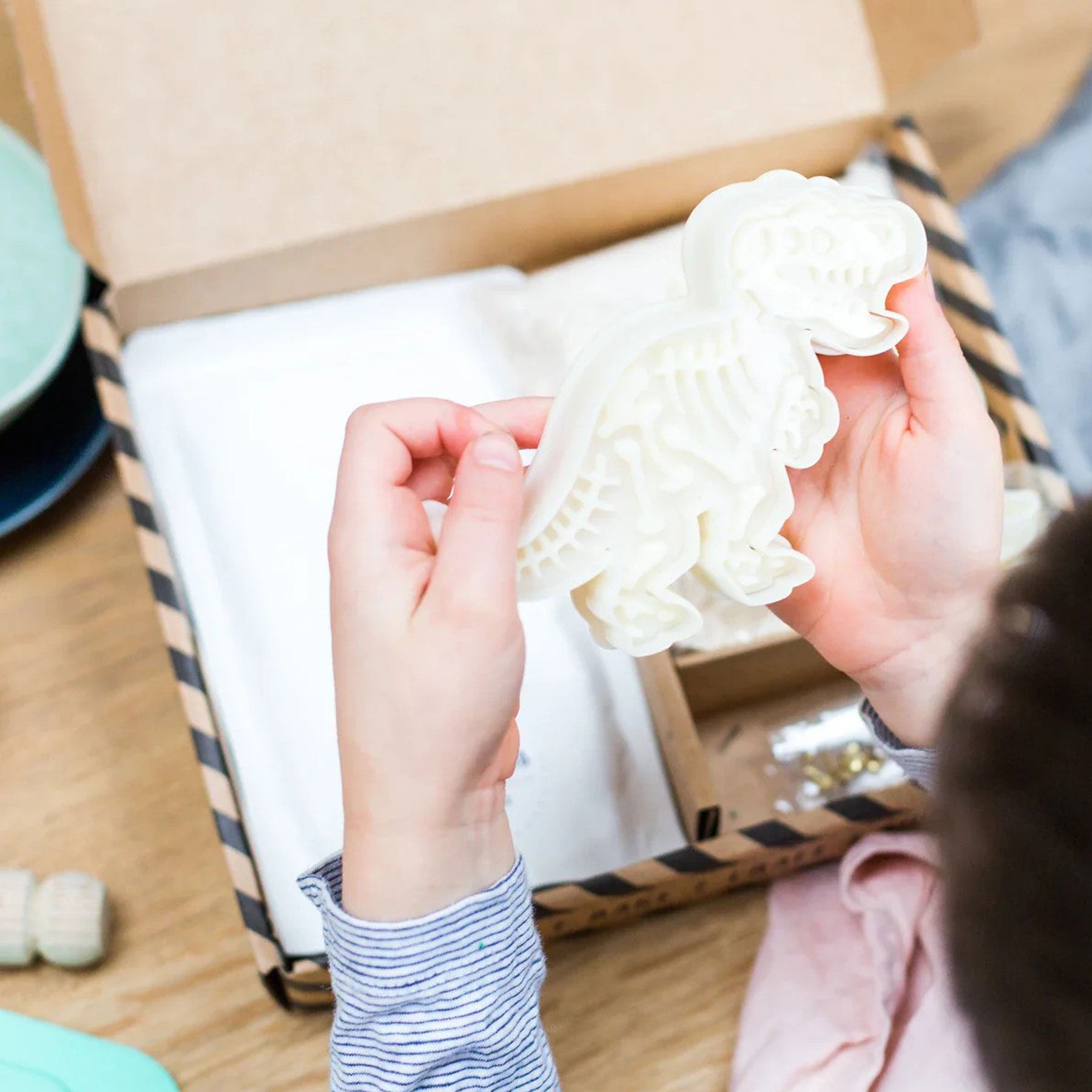 Dinosaur t-rex fossil biscuits & craft kit