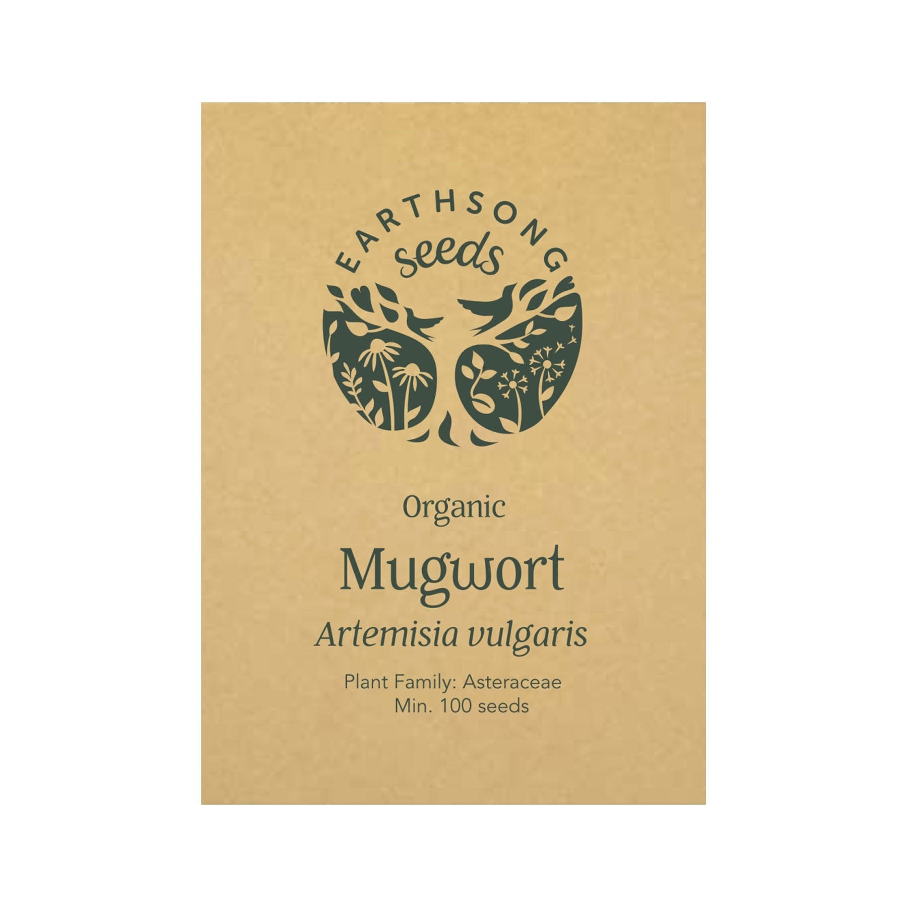 mugwort plant seeds Mugwort seed pack