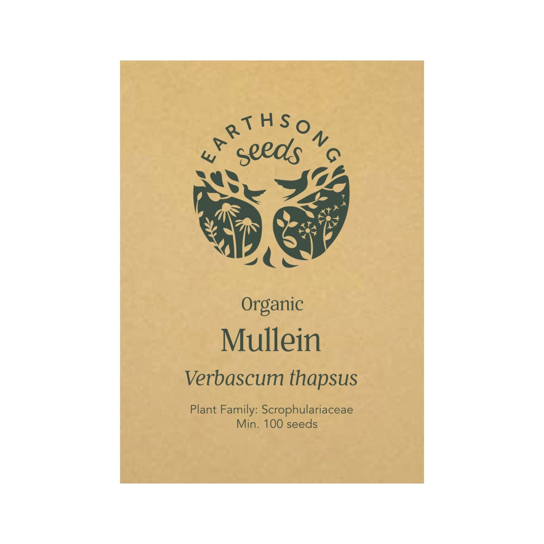 Mullein seed pack