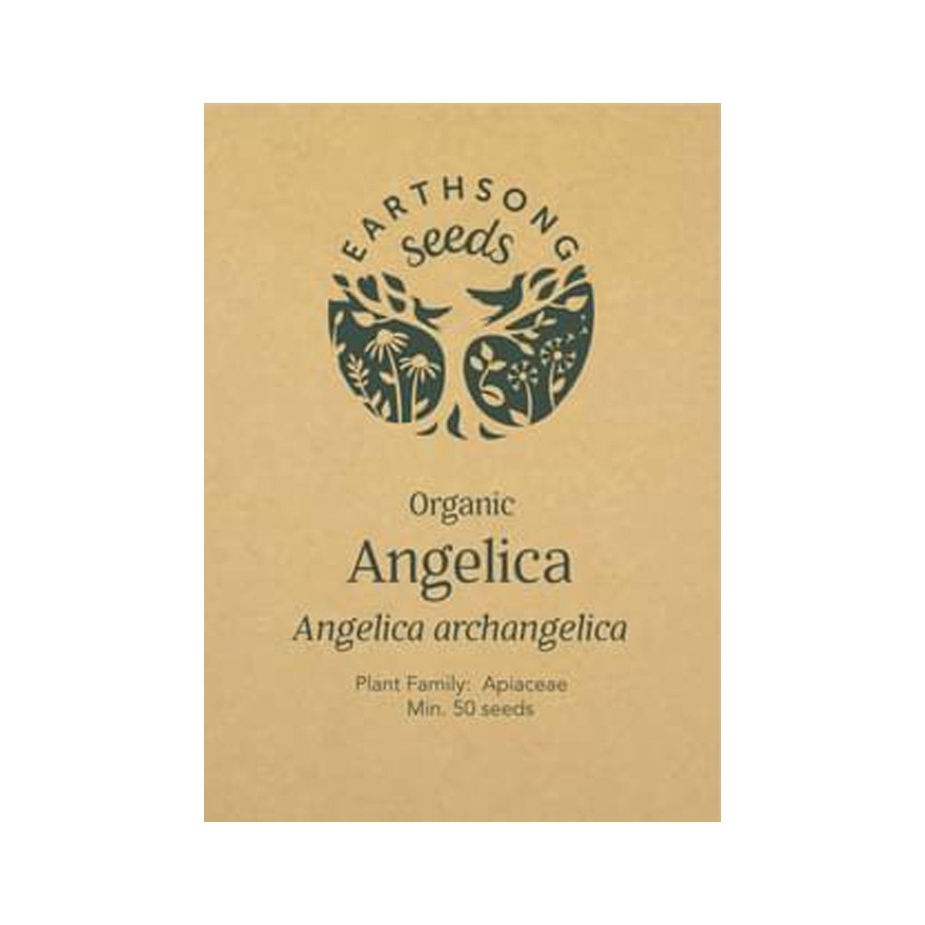 Angelica seed pack