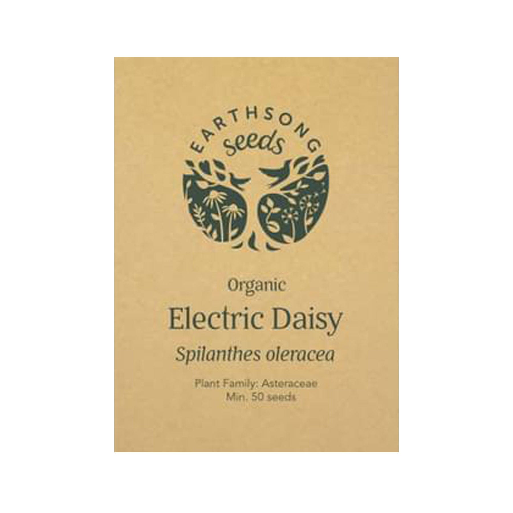 electric daisy flower seeds Electric daisy seed pack