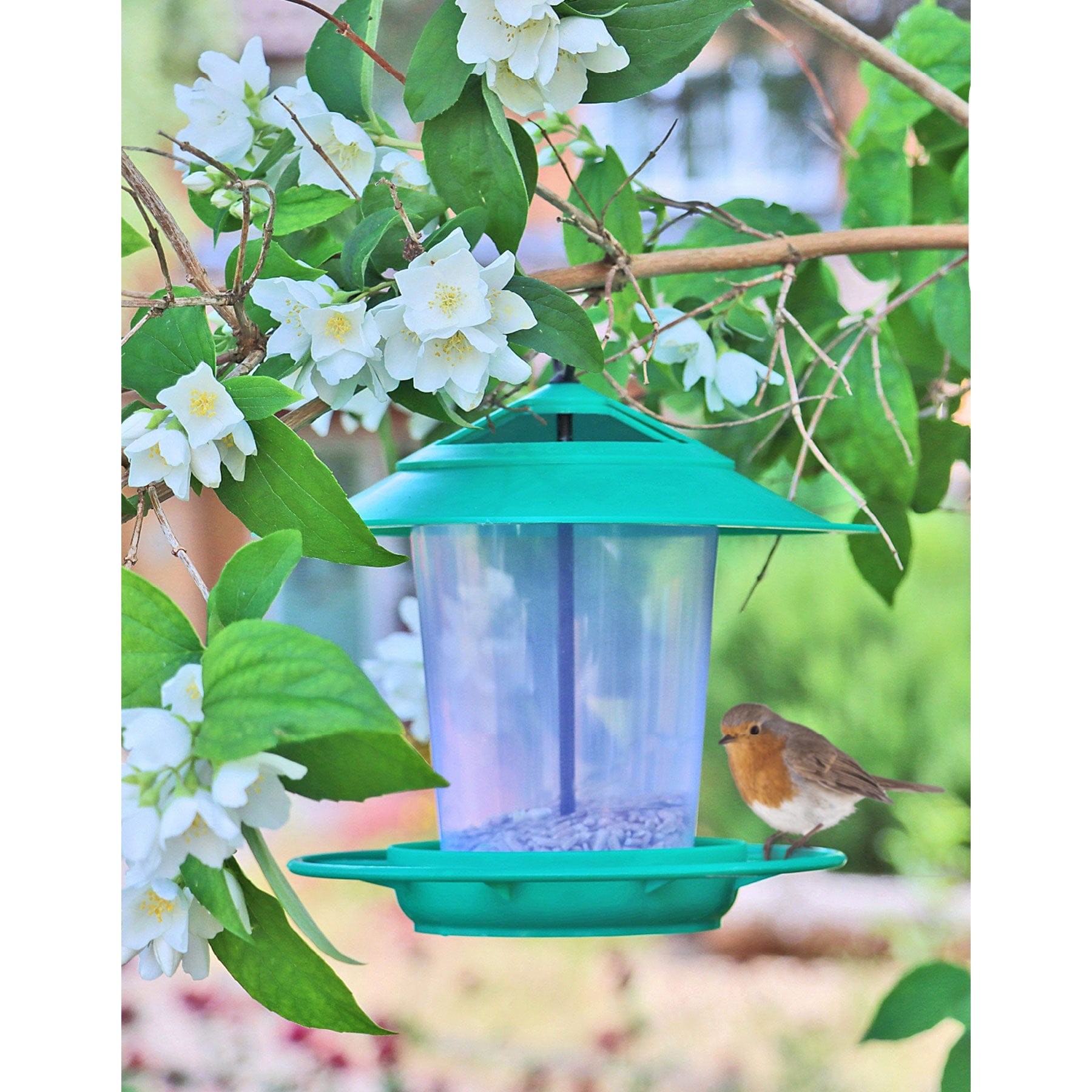 Eco-blu bird feeder