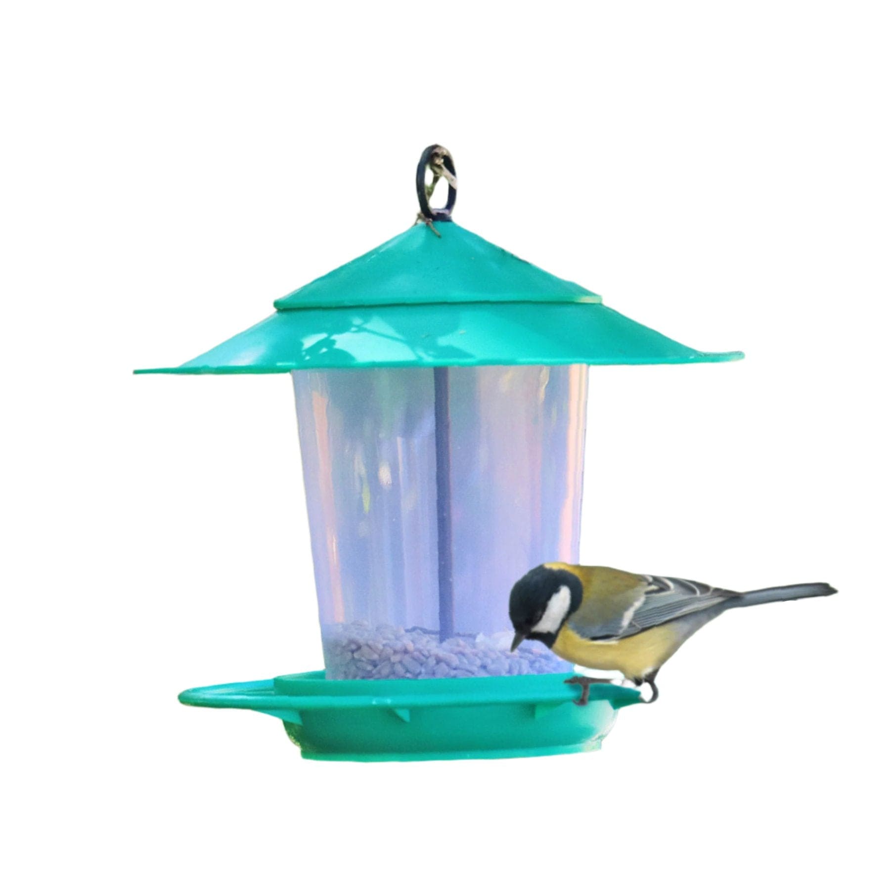 Eco-blu bird feeder