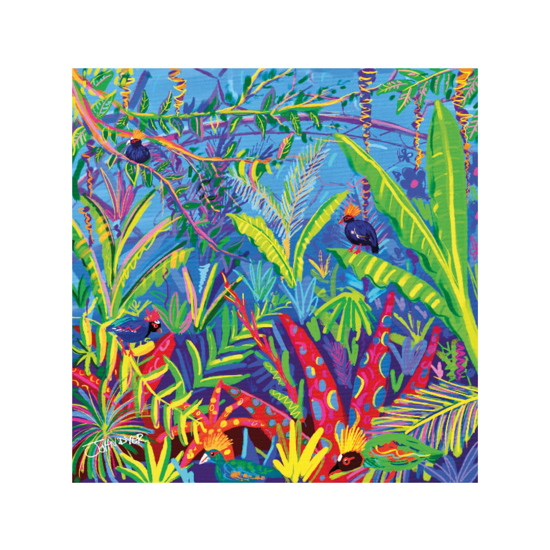 Roul Roul birds, Eden Project greeting card