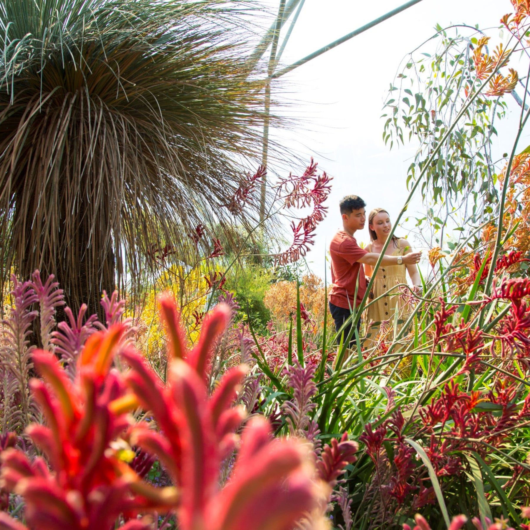 Couple exploring botanical garden surrounded by exotic plants and flowers on sunny day