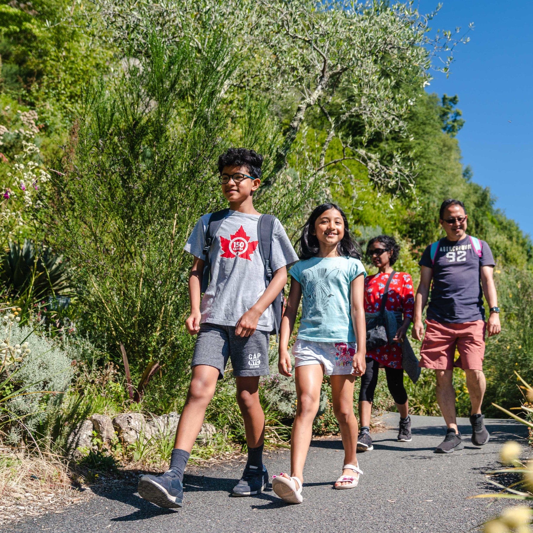 Family hiking on sunny day, nature trail, casual outdoor wear, active lifestyle, green foliage background, joyful expressions, quality family time, summer activity, walking together in park