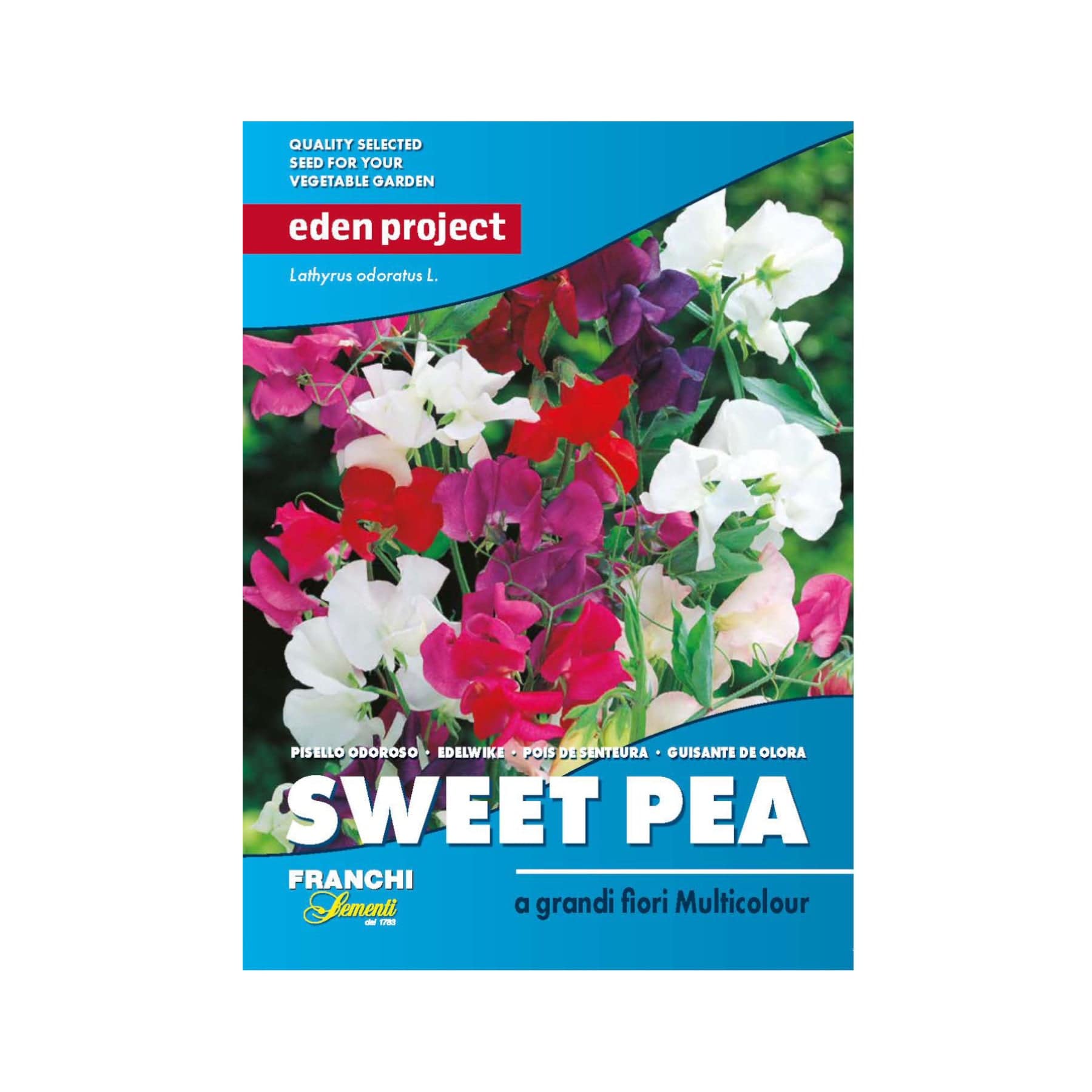 edens garden seeds Sweet pea multicolour seeds