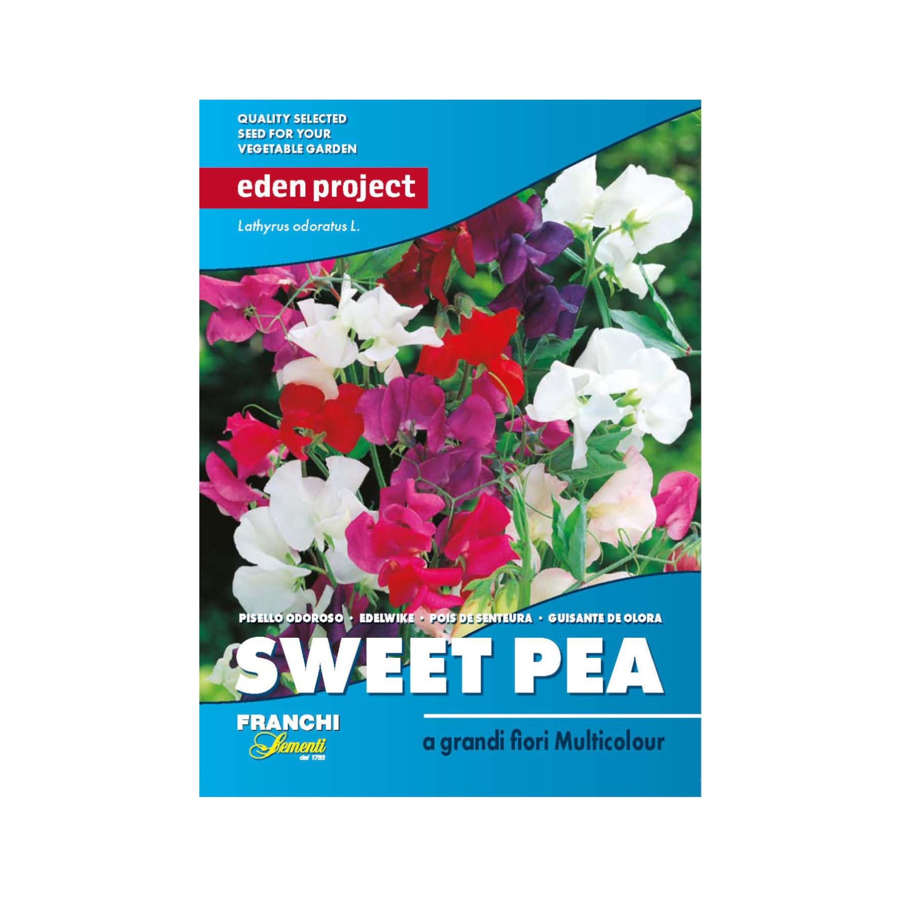 Eden Project Sweet Pea seed packet by Franchi Sementi featuring multicolored Lathyrus odoratus flowers, quality garden seeds advertisement with vibrant red, white, and purple blossoms.
