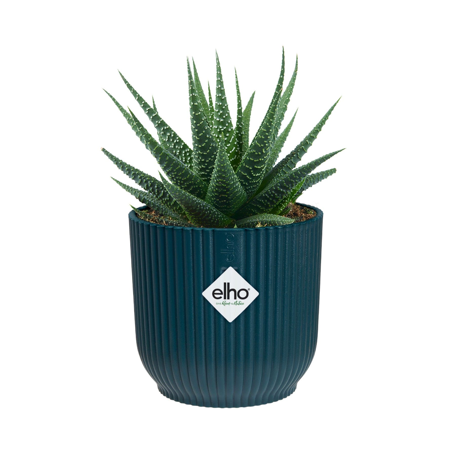 Vibes fold round mini plant pot