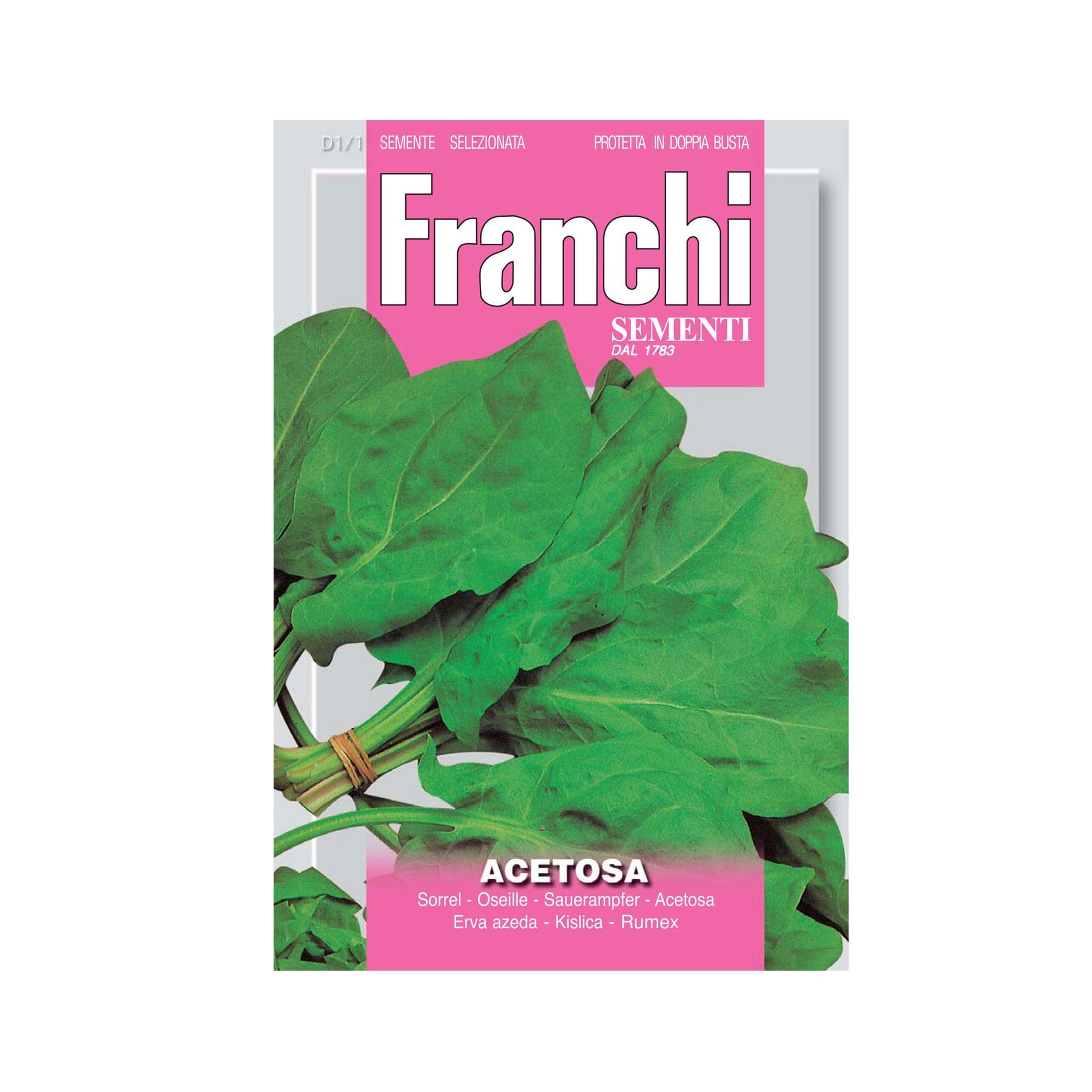 Sorrel Acetosa