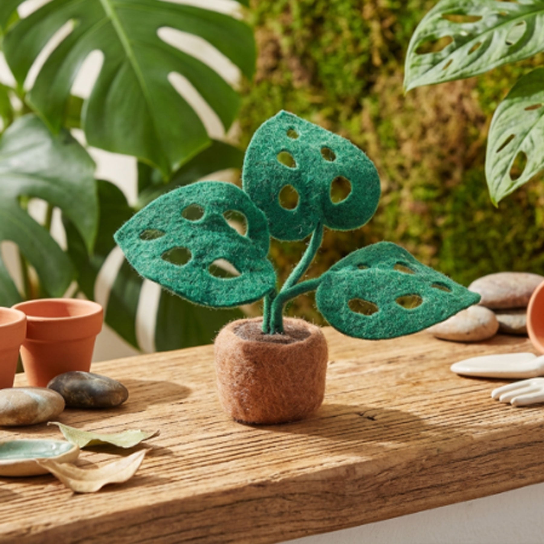 Felt monstera deliciosa plant decoration