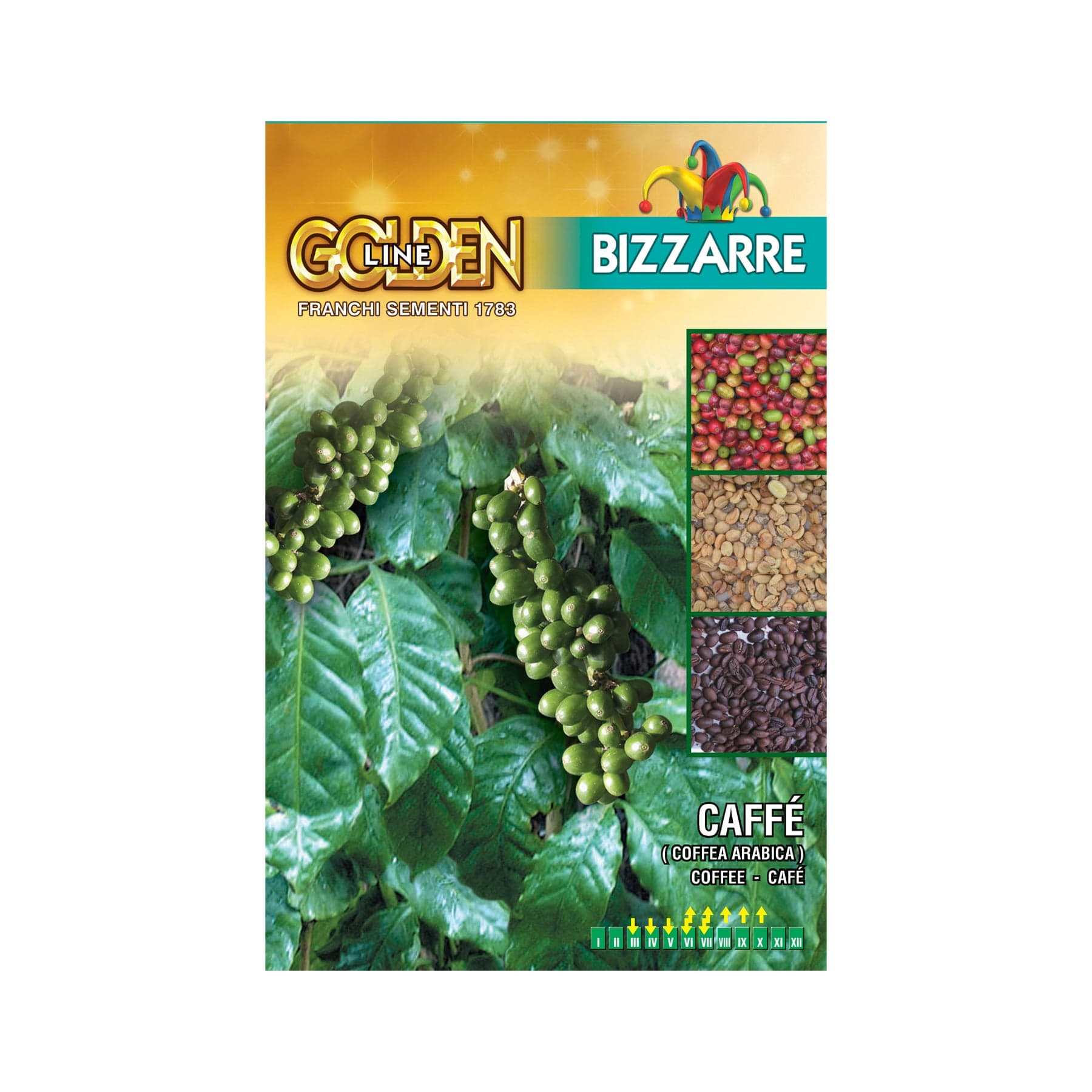 Coffee arabica