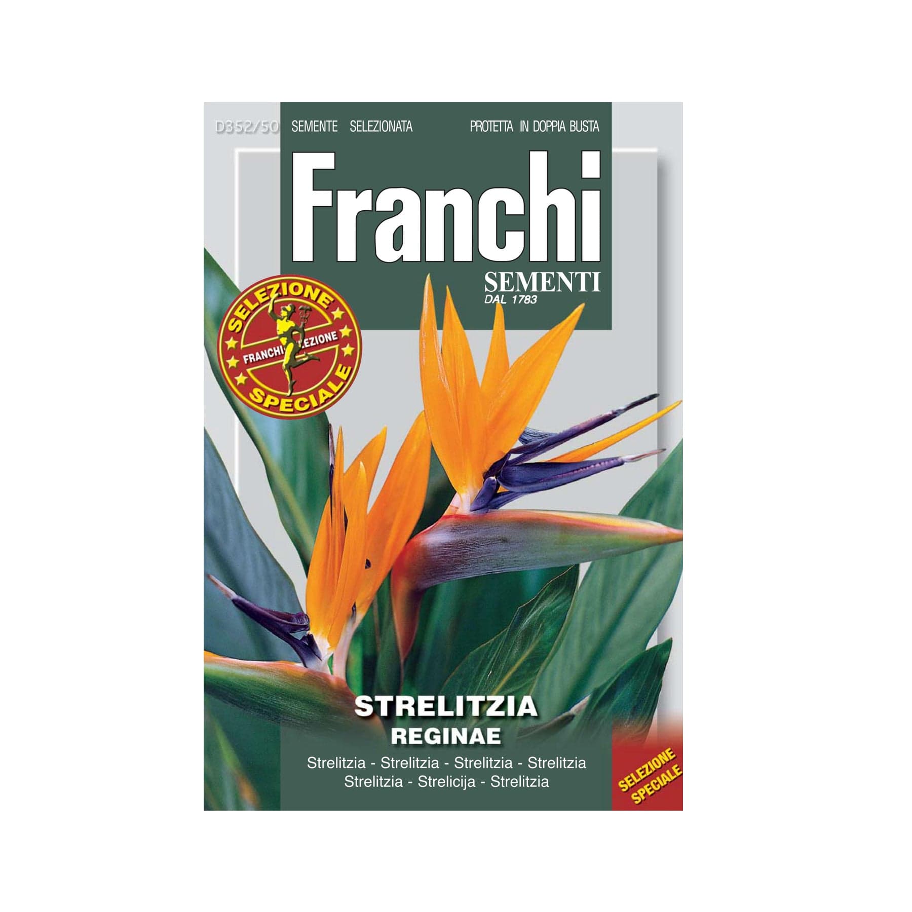 Strelitzia