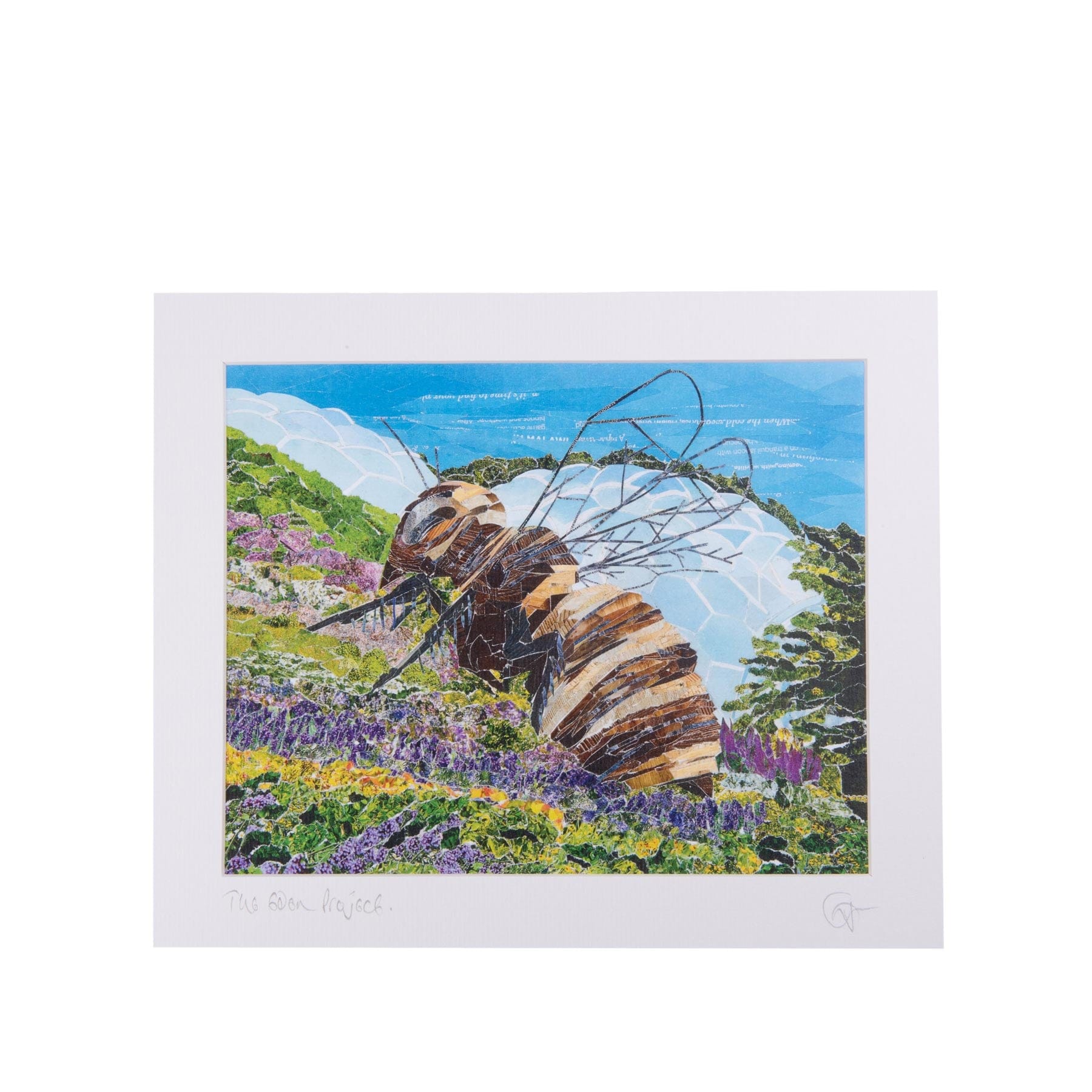 Eden Project giant bee 10x8 print