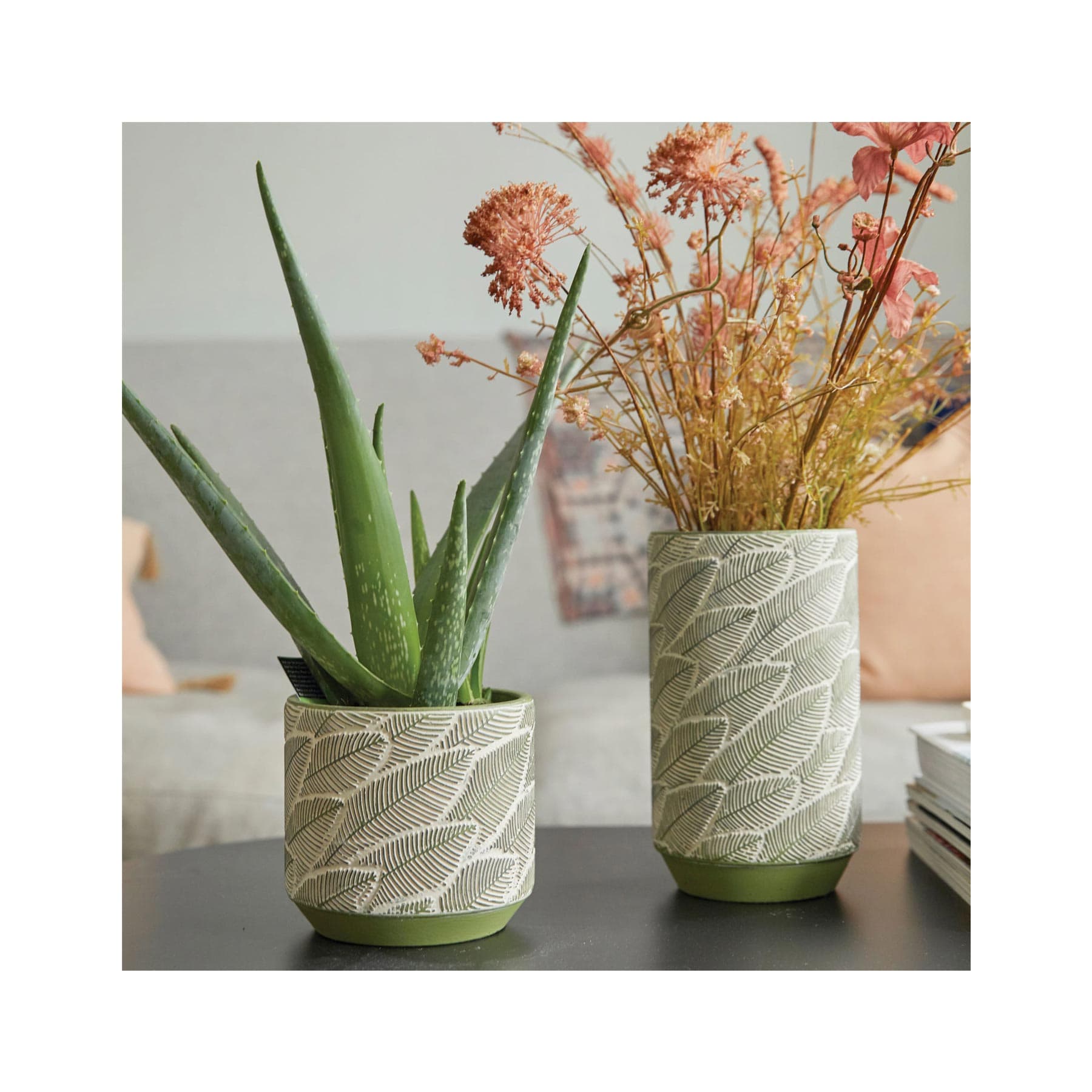 Green leaf indoor plant pot 13cm