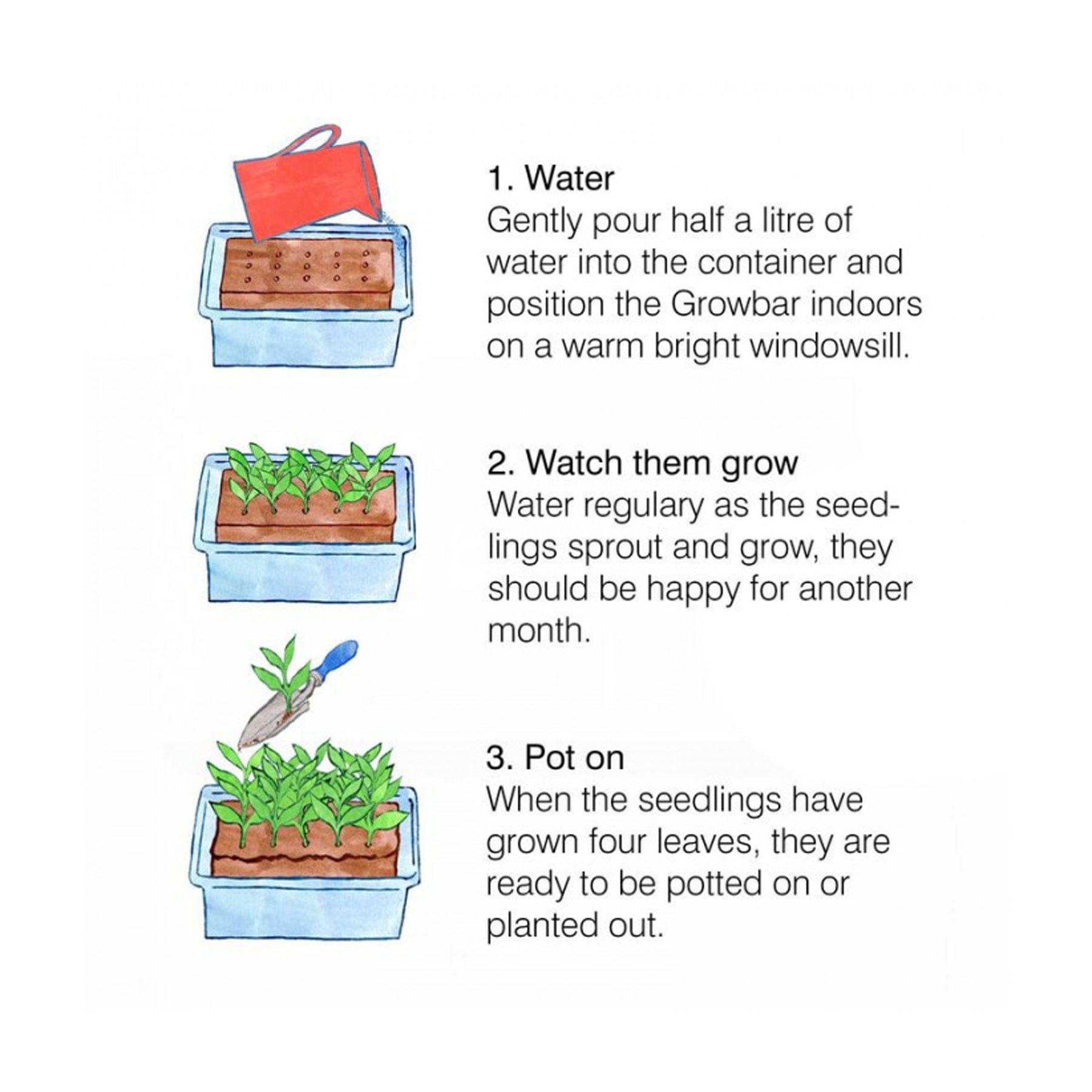 The Chinese chef's bar