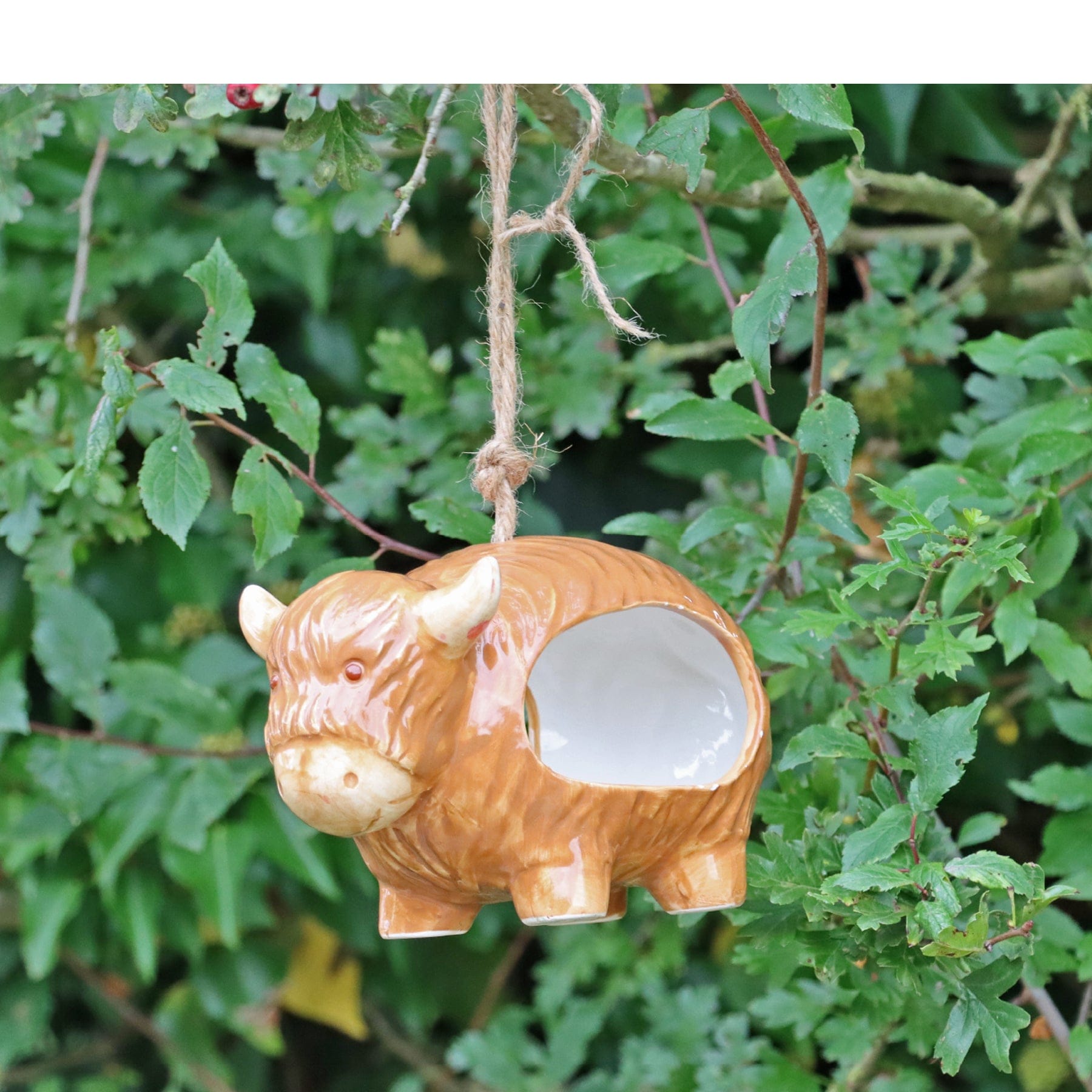 'Hairie' hanging ceramic highland cow bird feeder