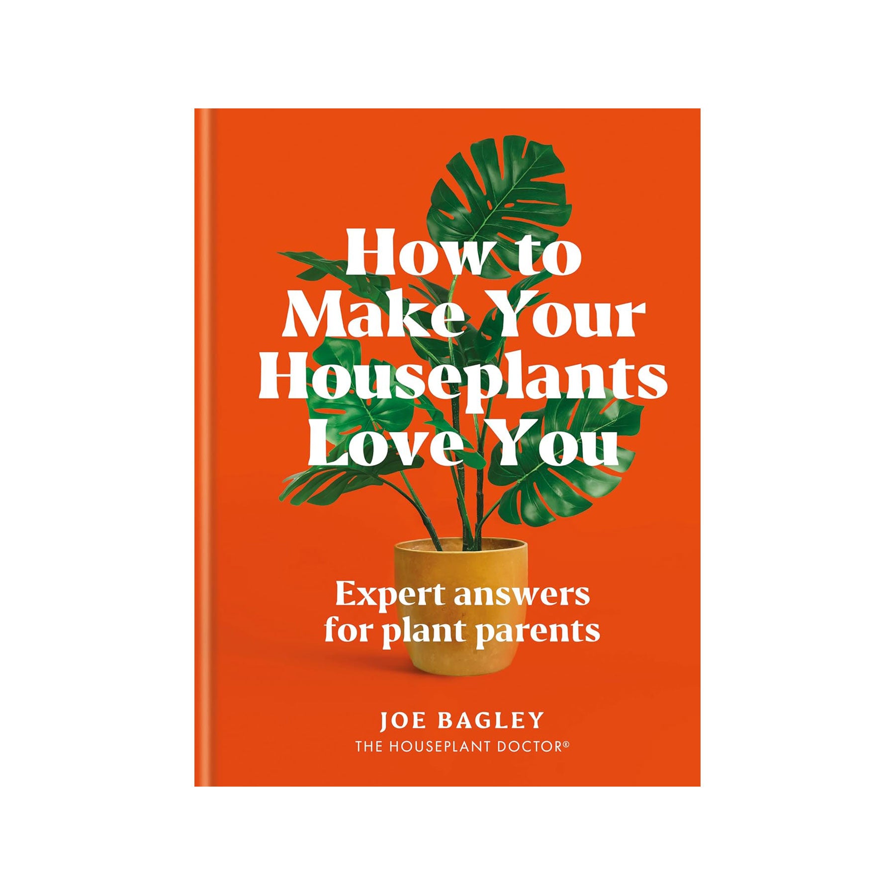 How to make your houseplants love you