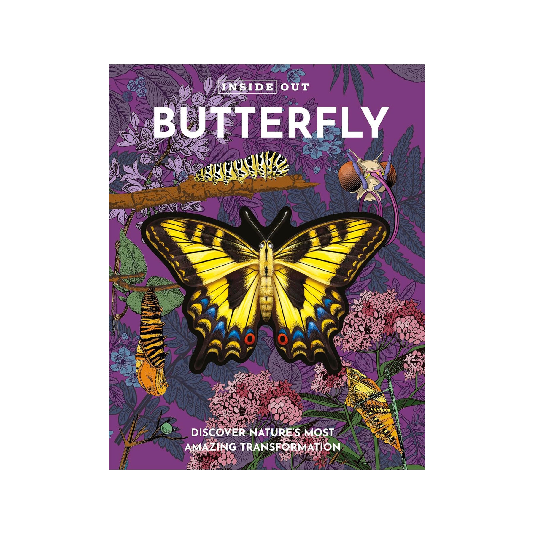 Inside out butterfly: discover nature's most amazing transformation