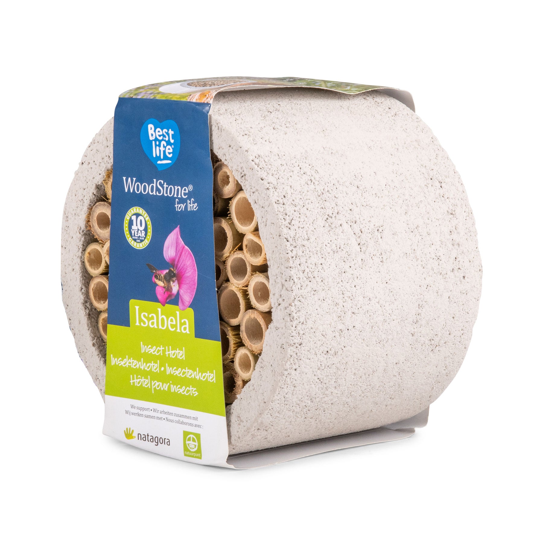 Isabela insect house