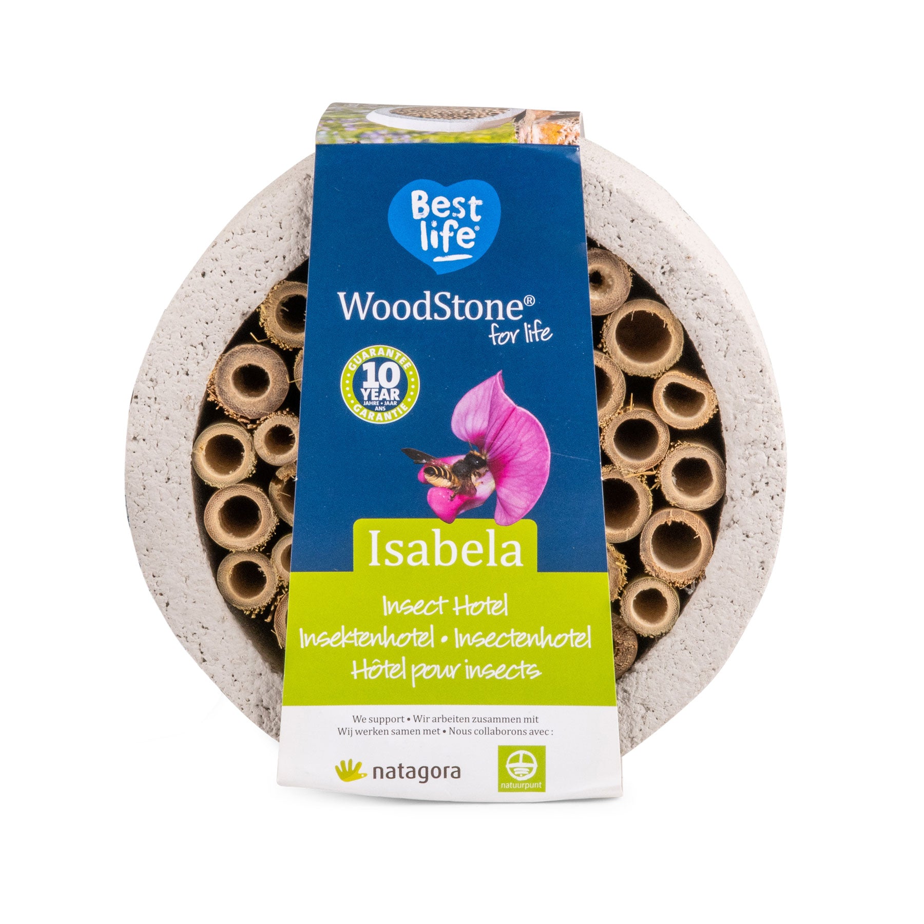 Isabela insect house