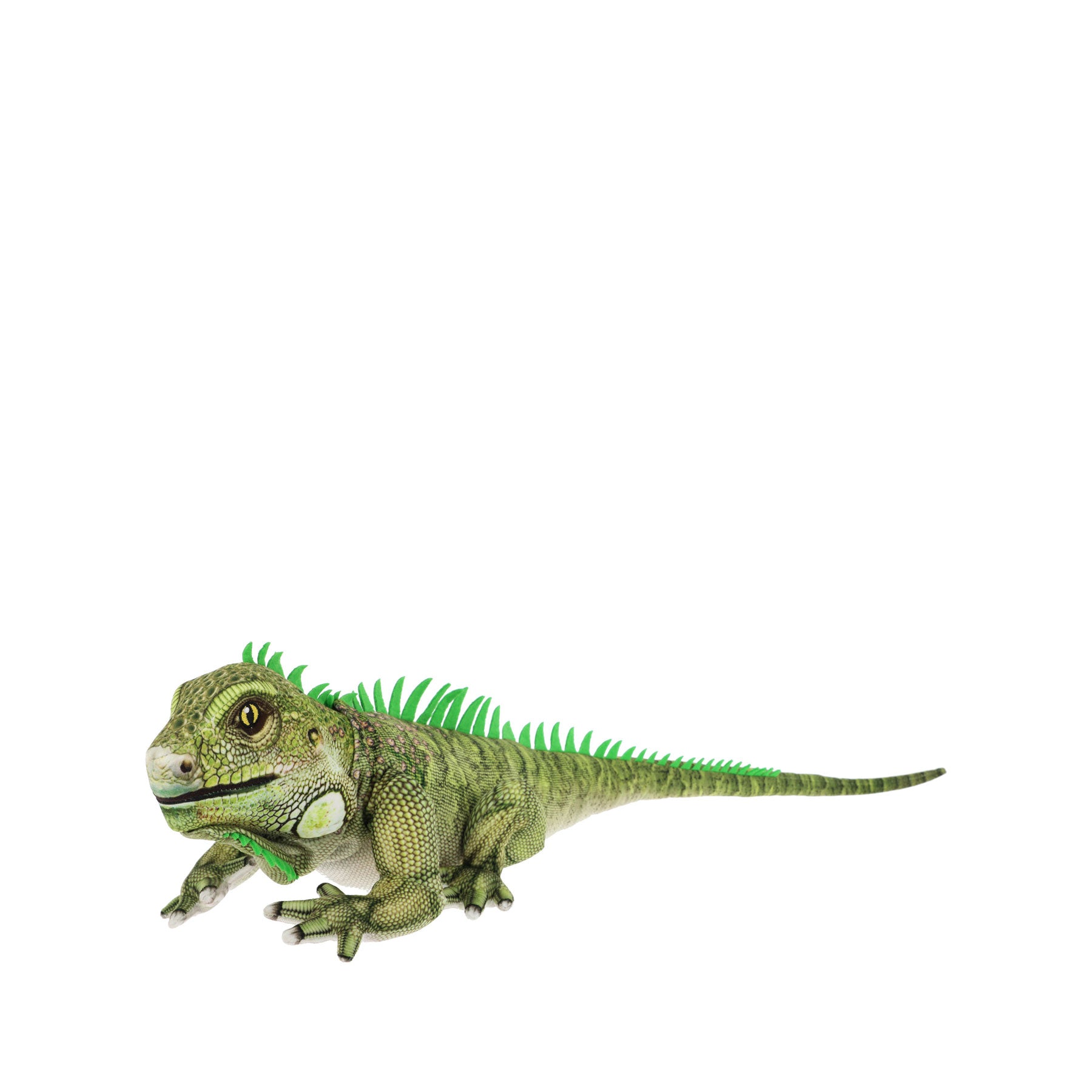 Keeleco iguana 65cm